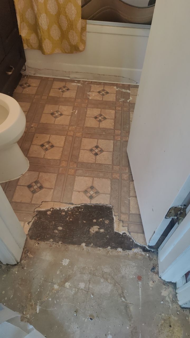 Mold Remediation by Accountable Home Services