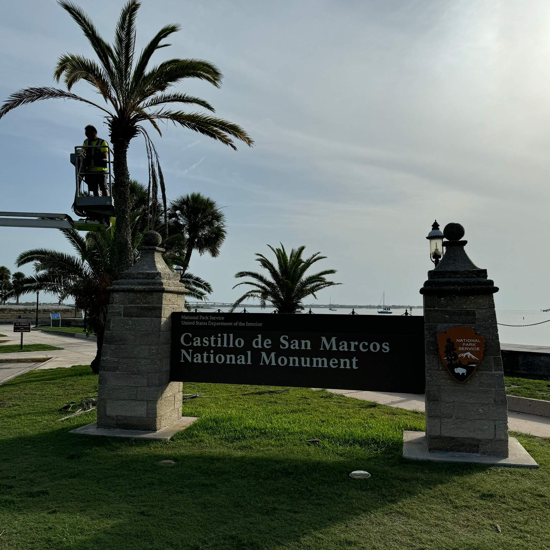 Tree Work | Castillo de San Marcos National Monument 2 by ProGreen Services