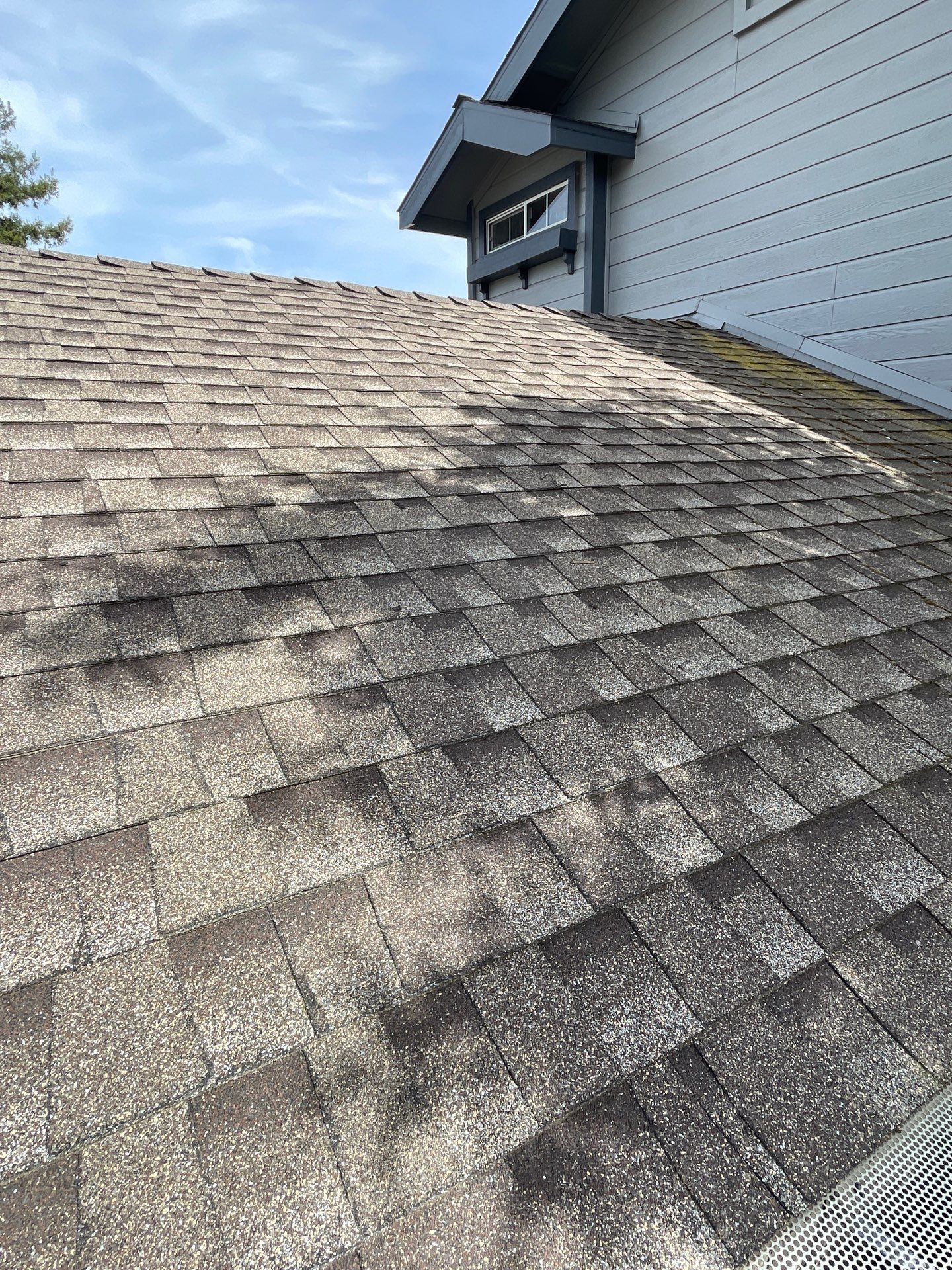 Roof Rejuvenation using Roof Maxx Treatment by Roof Maxx of Folsom