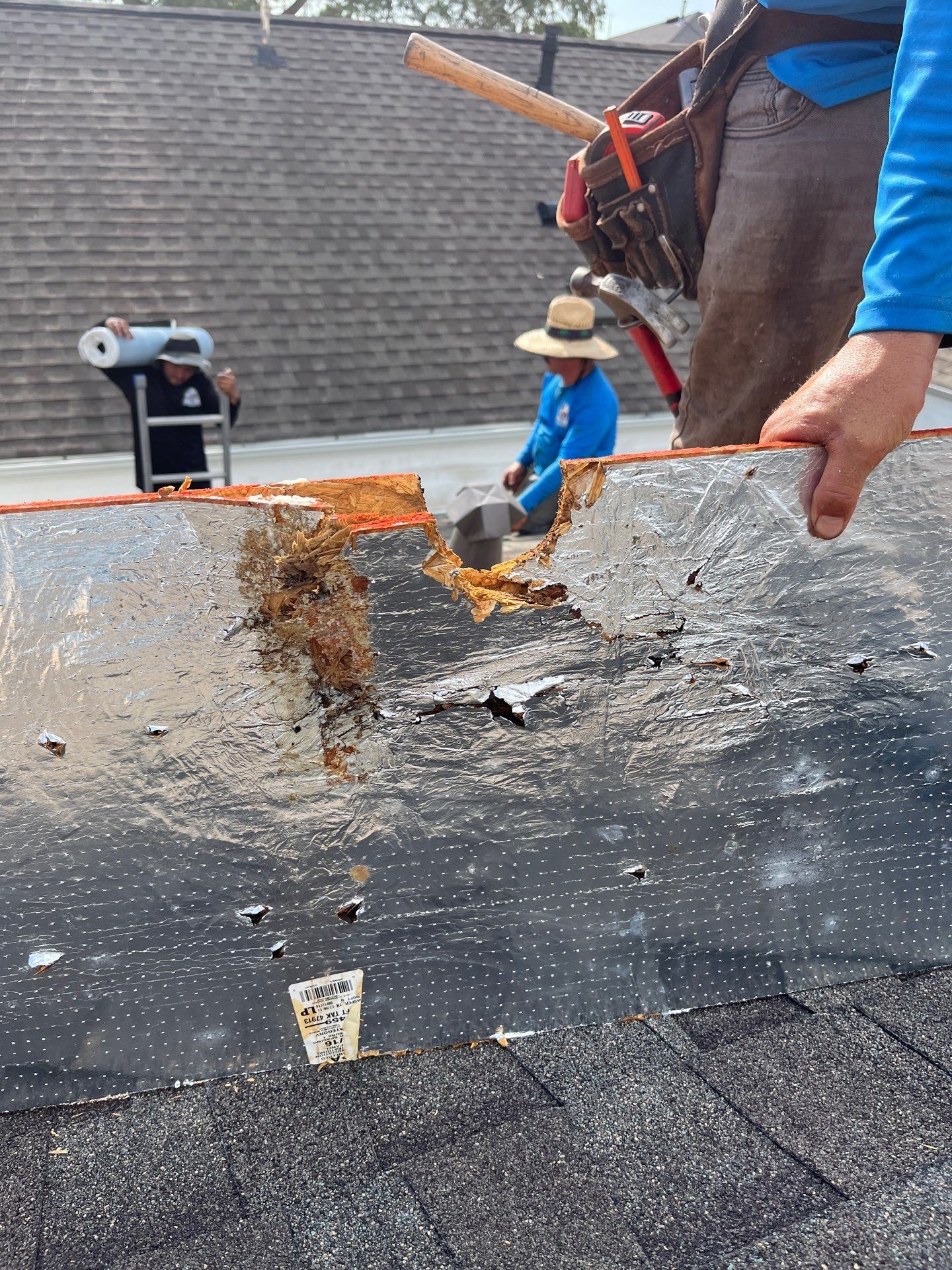 Hail Damage using Owen's Corning Duration (Lifetime) Shingles by Roof Repair Company
