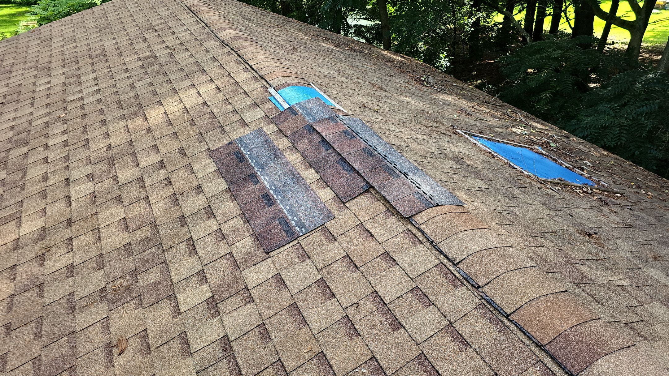 ATLAS PINNACLE COLOR: MORNING HARVEST by Eagle Eye Roofing