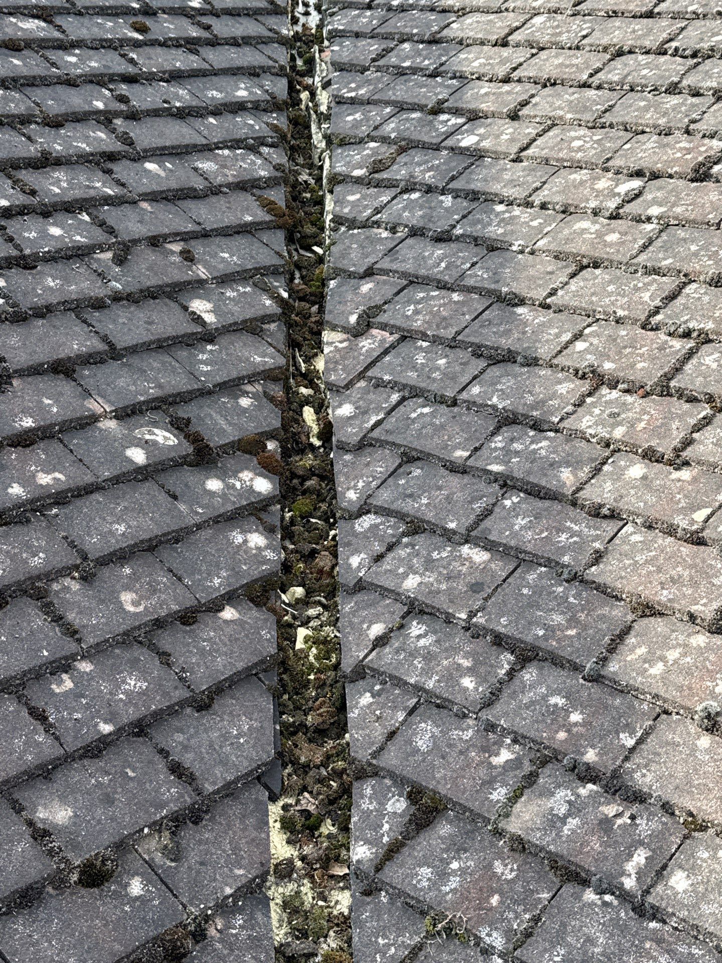 Roof Clean  - Moss Removal - Gutter Clean using Honda 15lpm Low Pressure Washing Machine by Ges Exterior Cleaning ltd