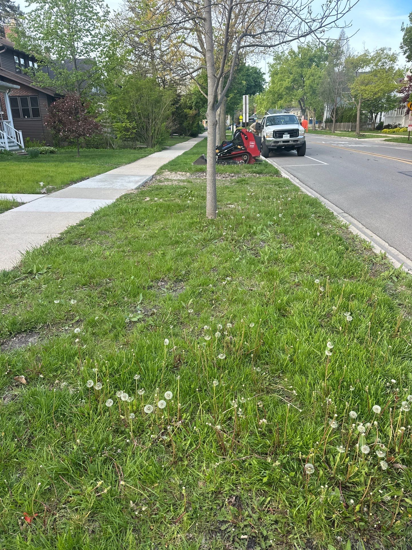 Tom D. - Wilmette, IL by A&N