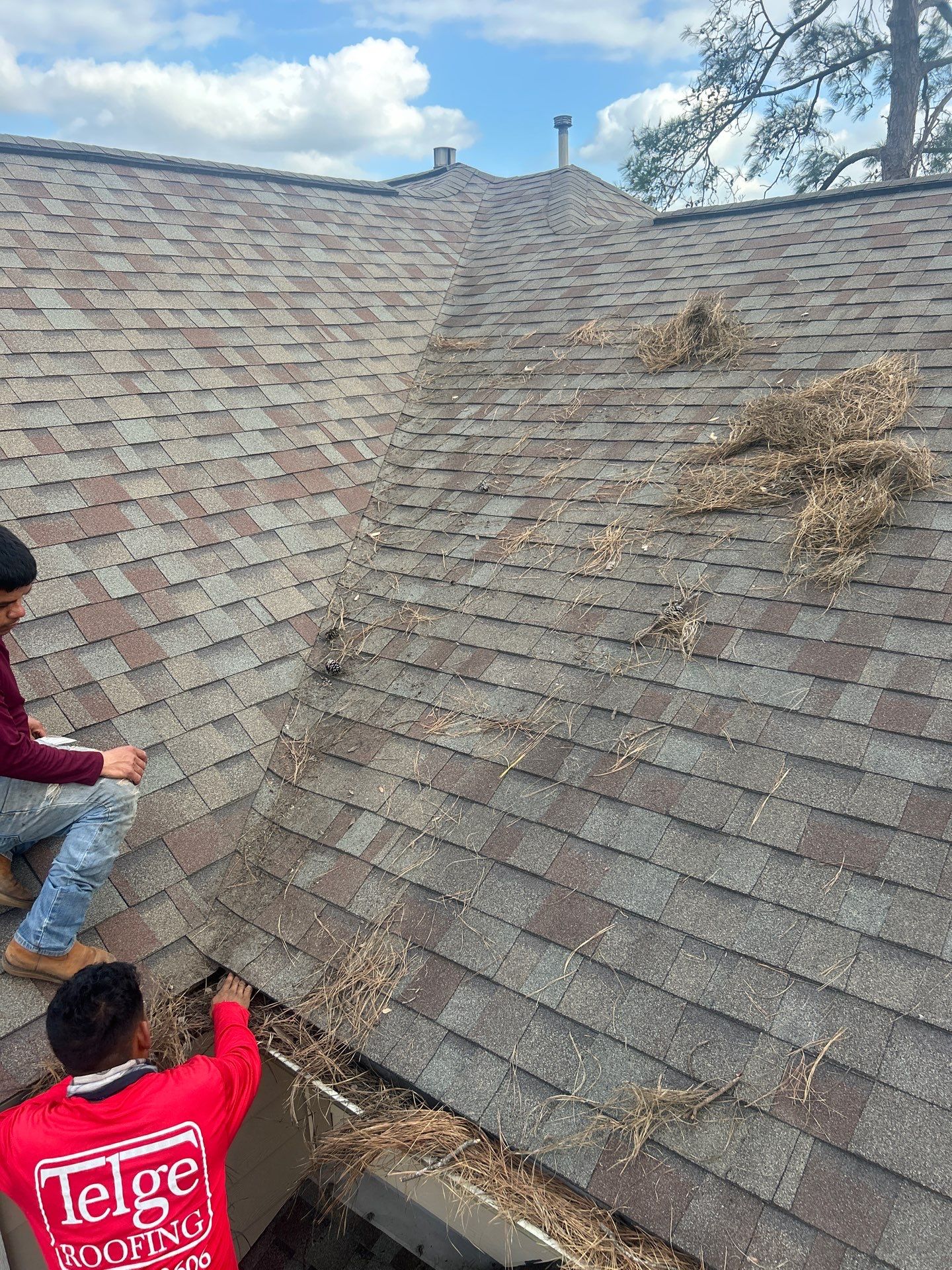 Roof Repair Spring by Roof Repair Company