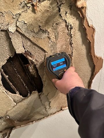 Emergency Service Mold Concern by ANR Restoration