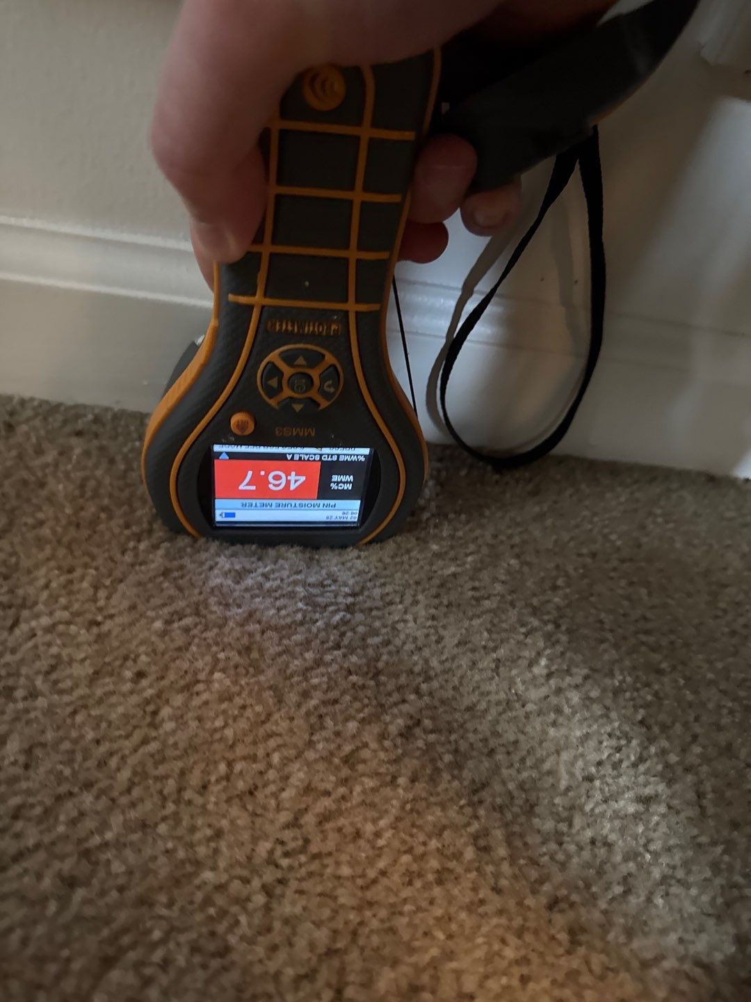 Project in Sterling Heights by EzDry Water Mitigation & Property Restoration