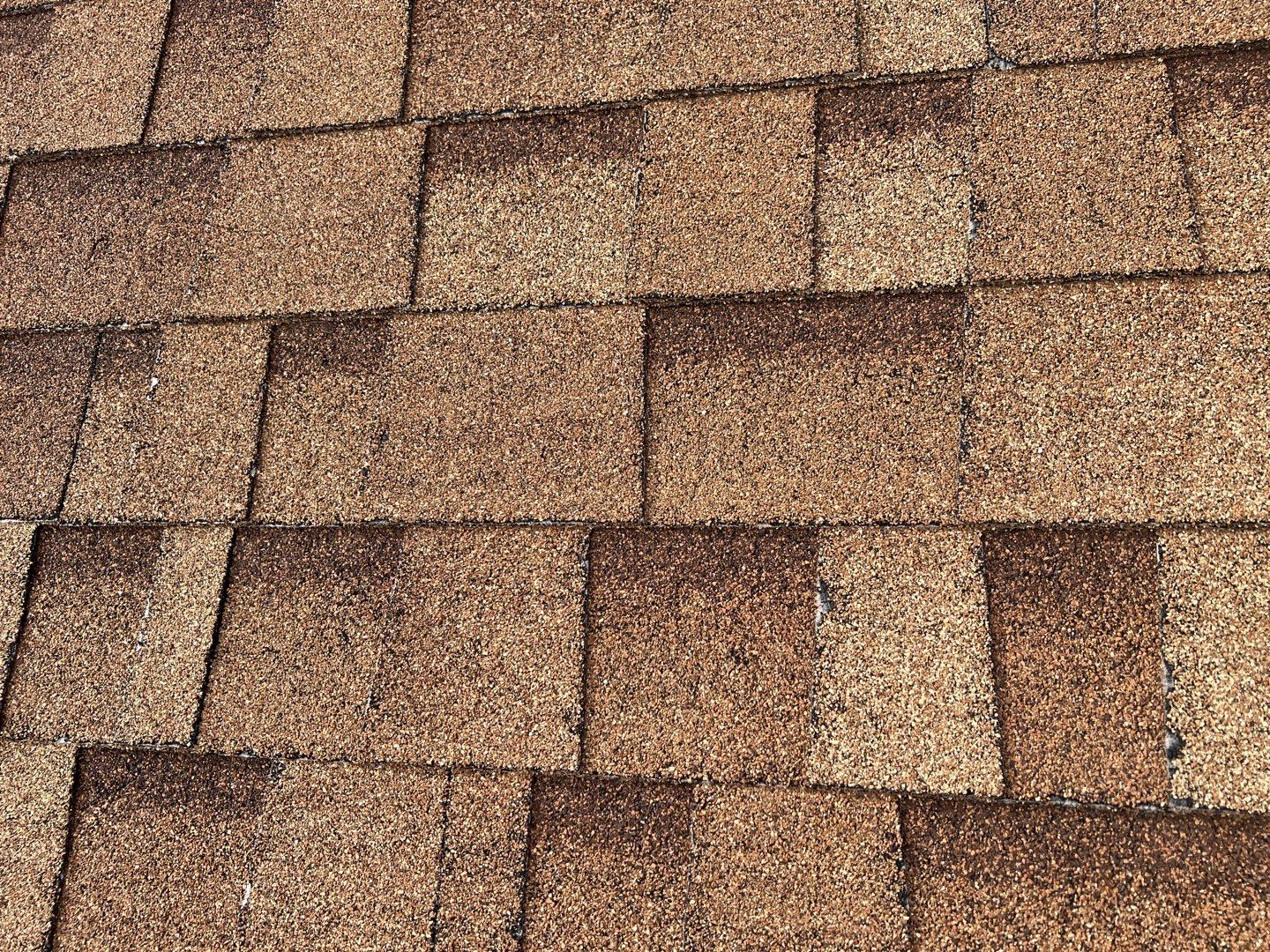Jenna's Re-Roof and Ridge Vents by All Storm Roofing & Construction