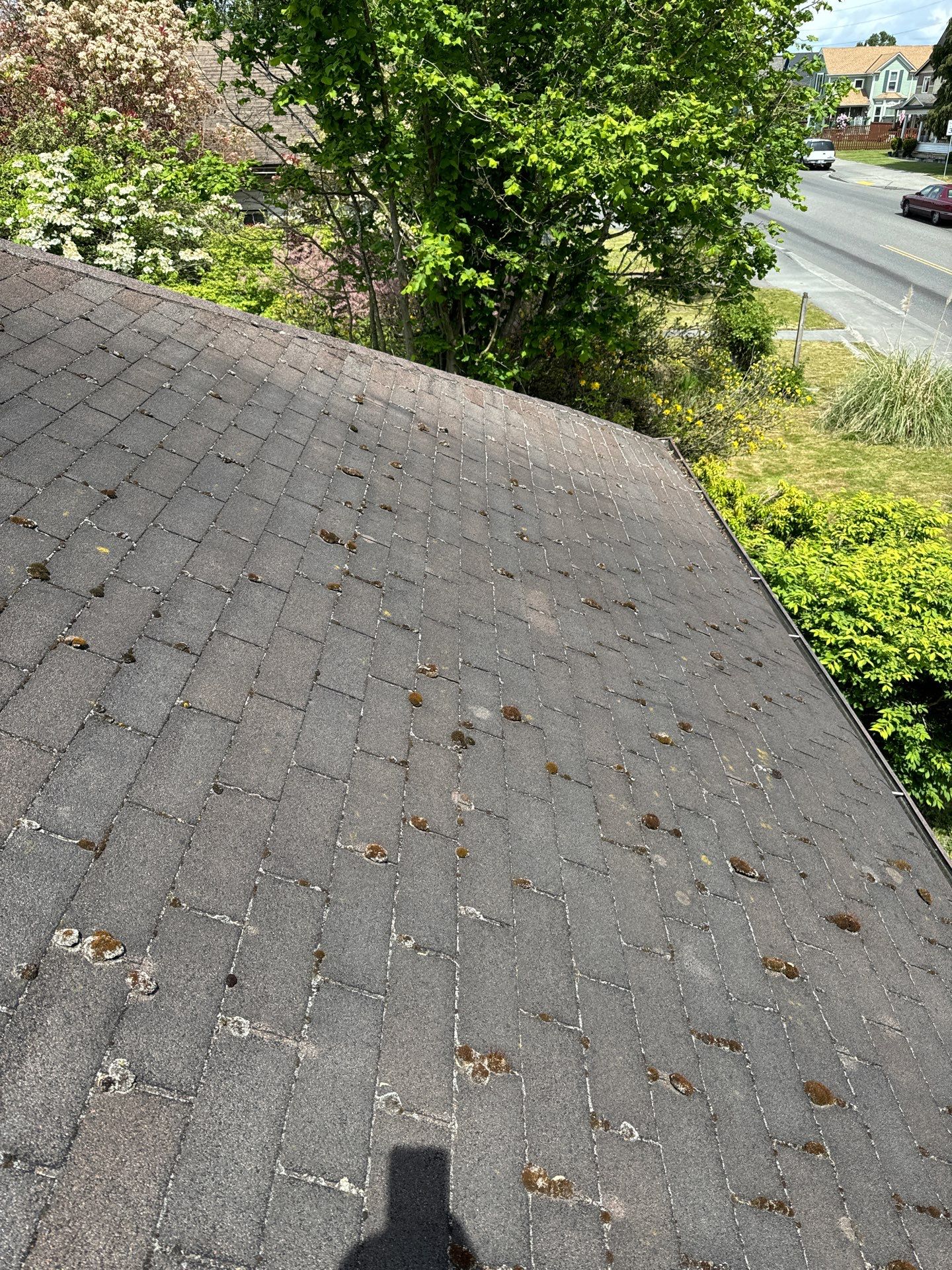 Project in Everett by Connolly Construction Company