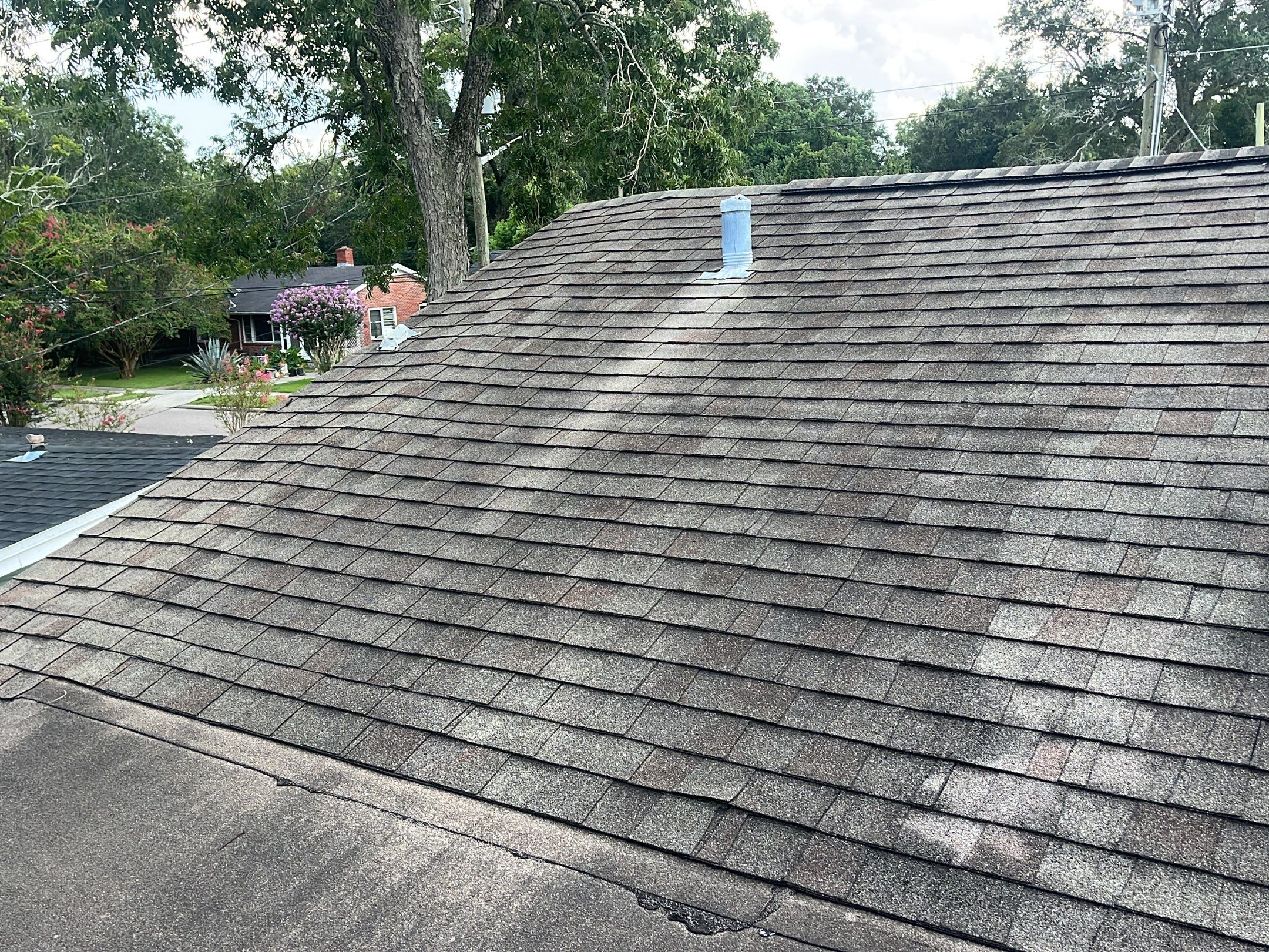 Shingle -> Shingle by Prime Roofing