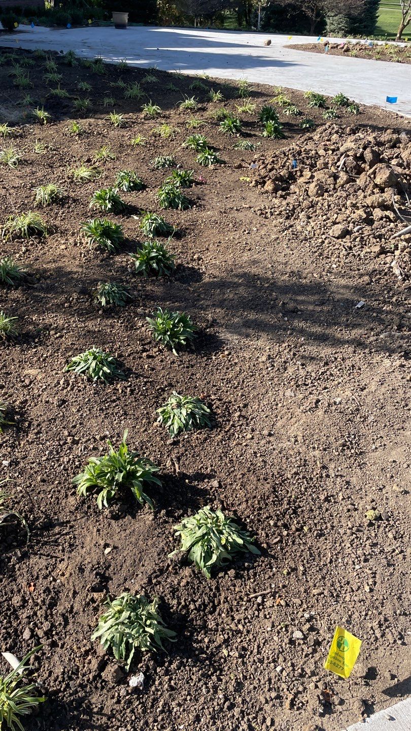 Landscape Bed Updates.  by New Horizon Landscapes