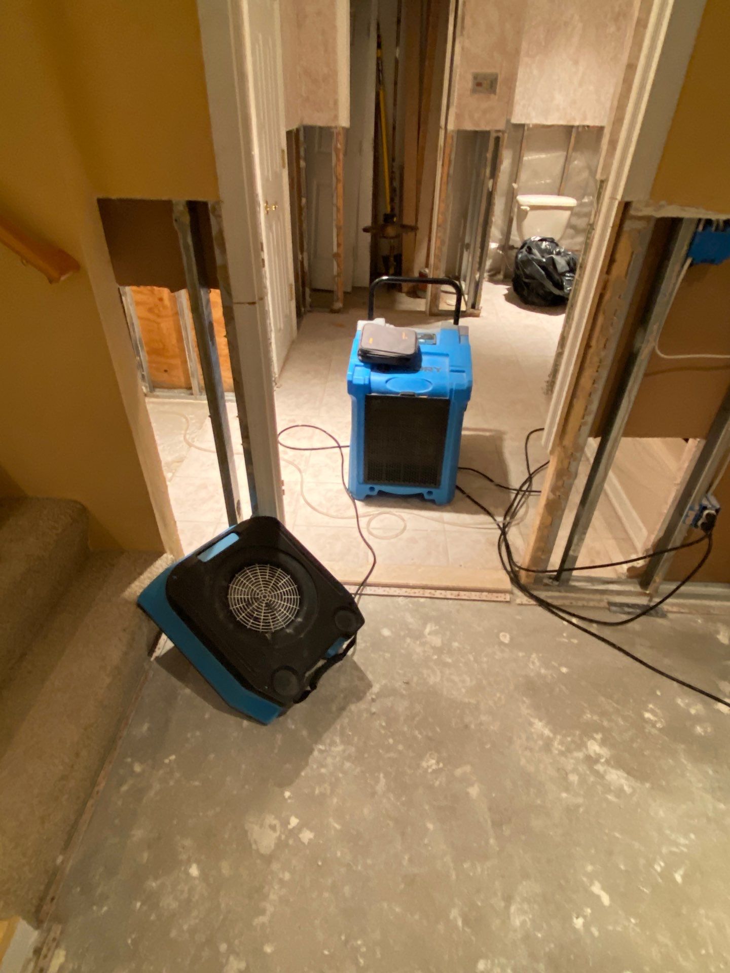 Project in Novi by EzDry Water Mitigation & Property Restoration