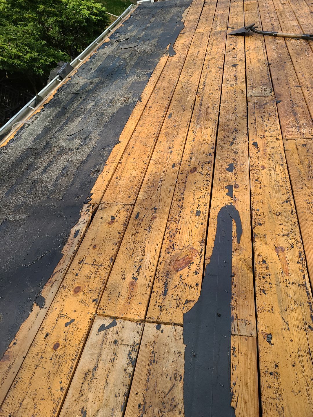 Alexandria CertainTeed Landmark Pro Roof in Max Def Charcoal Black by RM Banning, Inc.