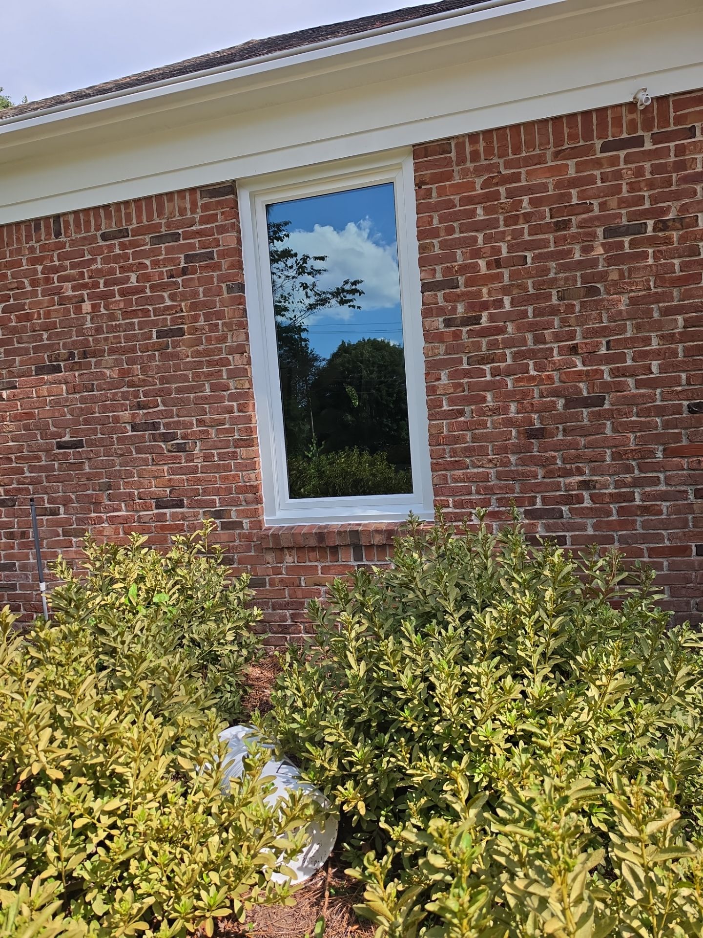 Ackerman Project in Vestavia Hills by The Window Source