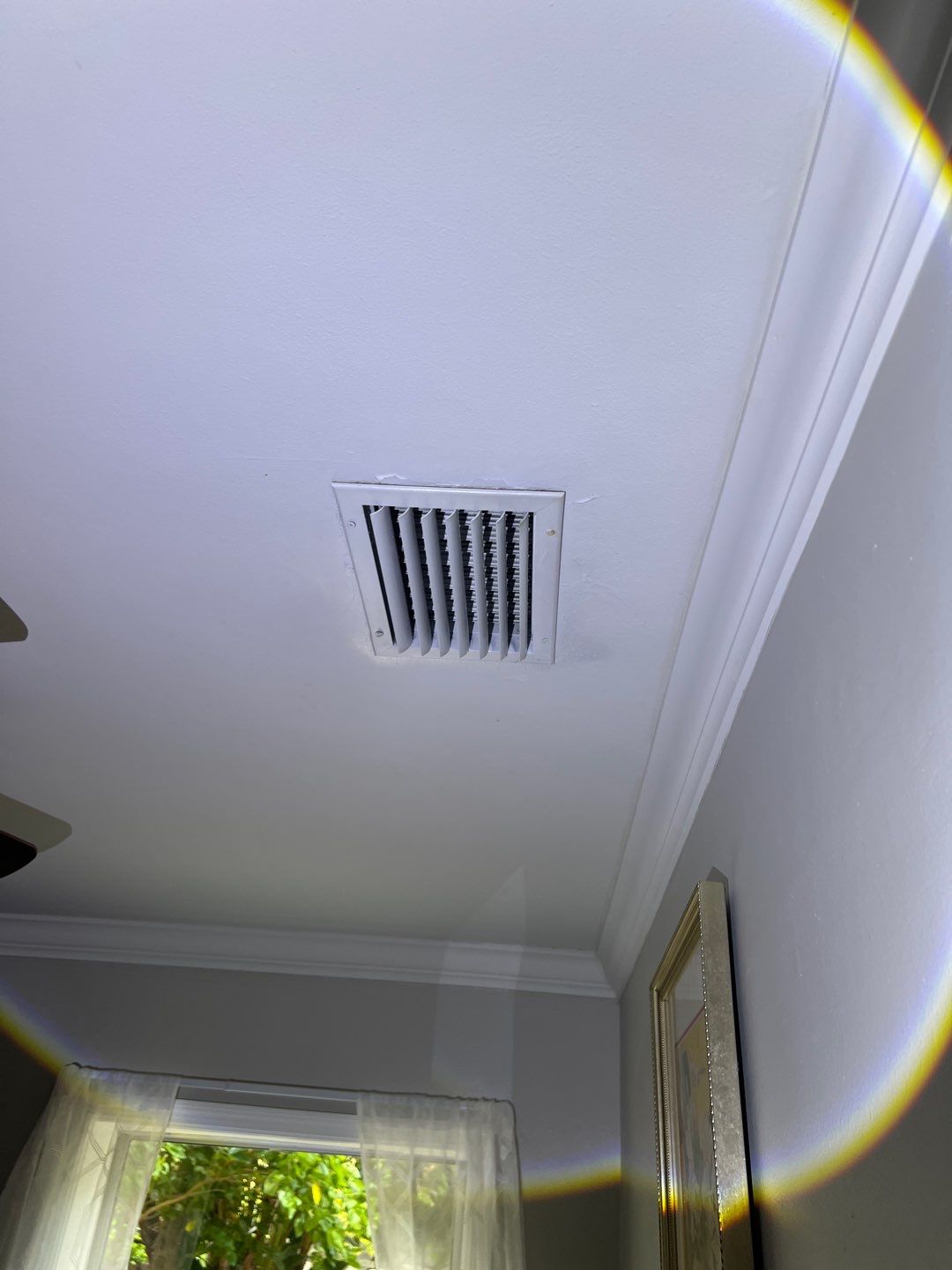 St Petersburg Mold Remediation by Ampm Restoration Services