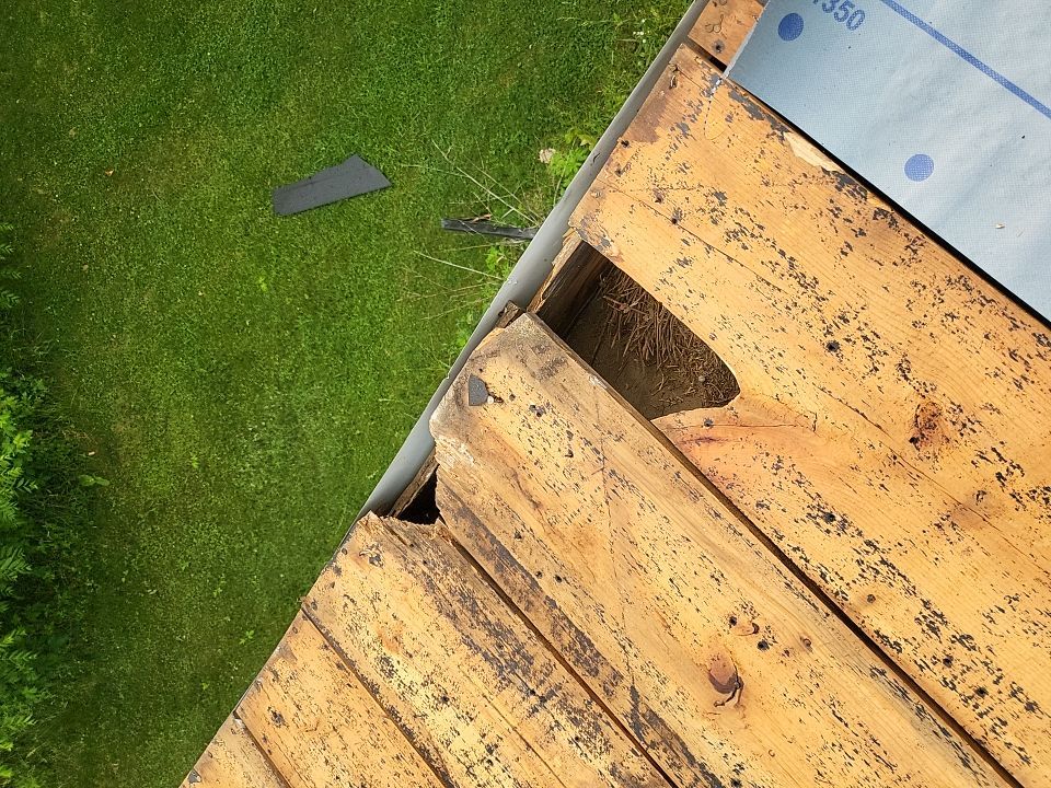 ATLAS PINNACLE HP W/SCOTCHGARD COLOR: BLACK SHADOW by Eagle Eye Roofing