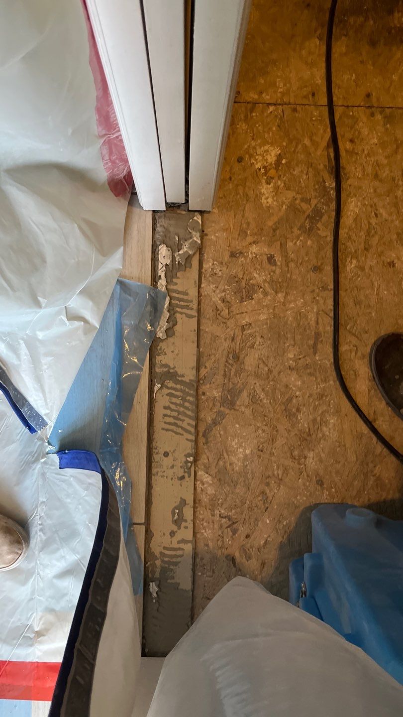 Mold Remediation by Accountable Home Services