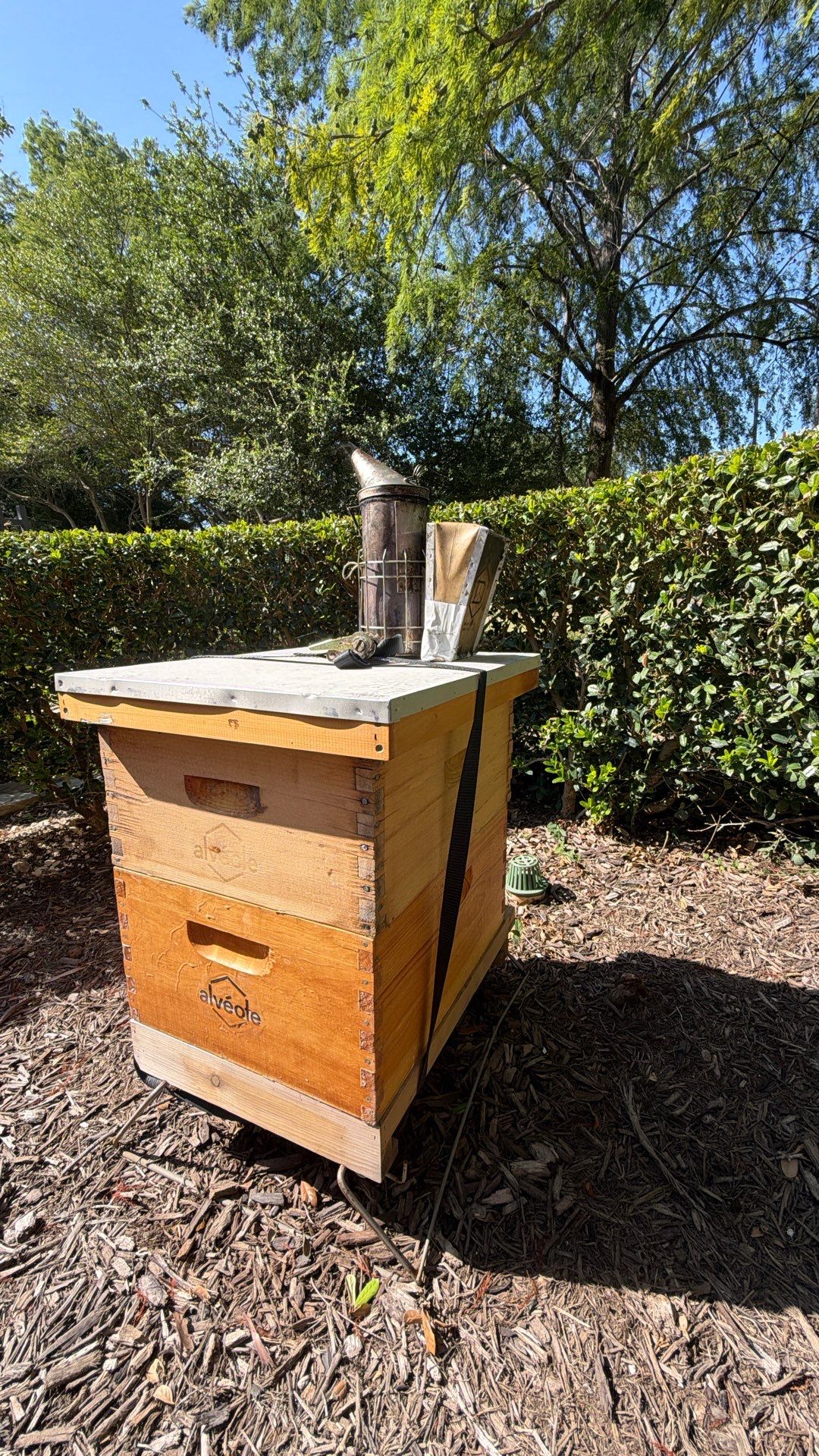 Apartment Retreat for Honey Bees in Garland by Rockwall Honey Bee Company