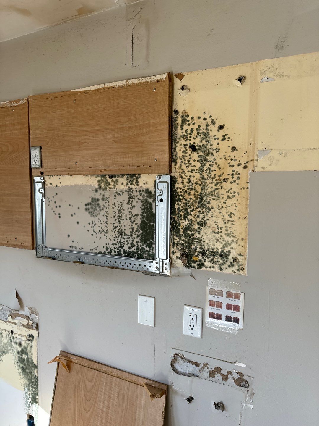 Project in Mt Morris Township by EzDry Water Mitigation & Property Restoration