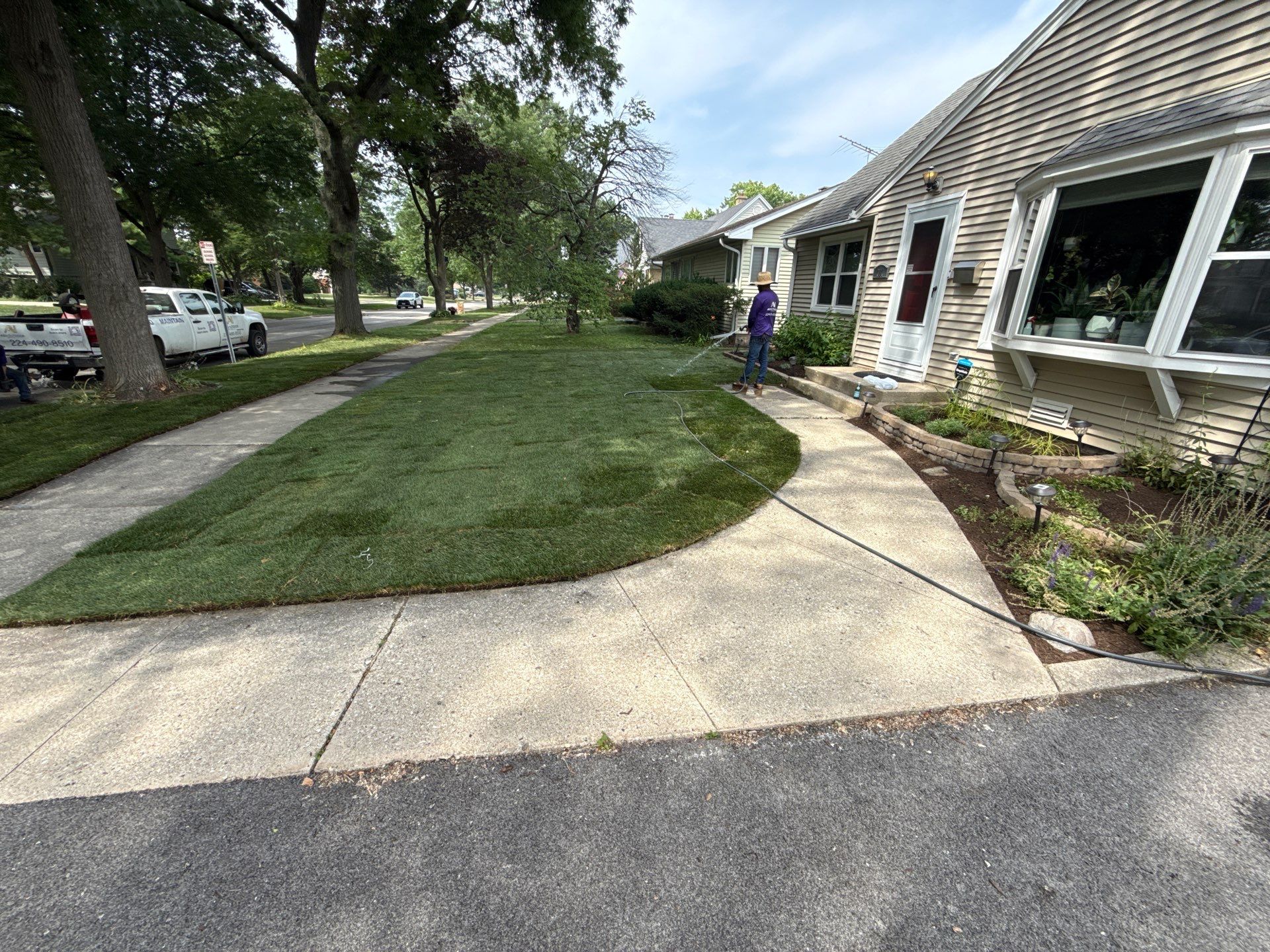 Allison C. - Arlington Heights, IL by A&N