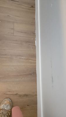 Interior Painting and Surface Preparation for Hayward Residence