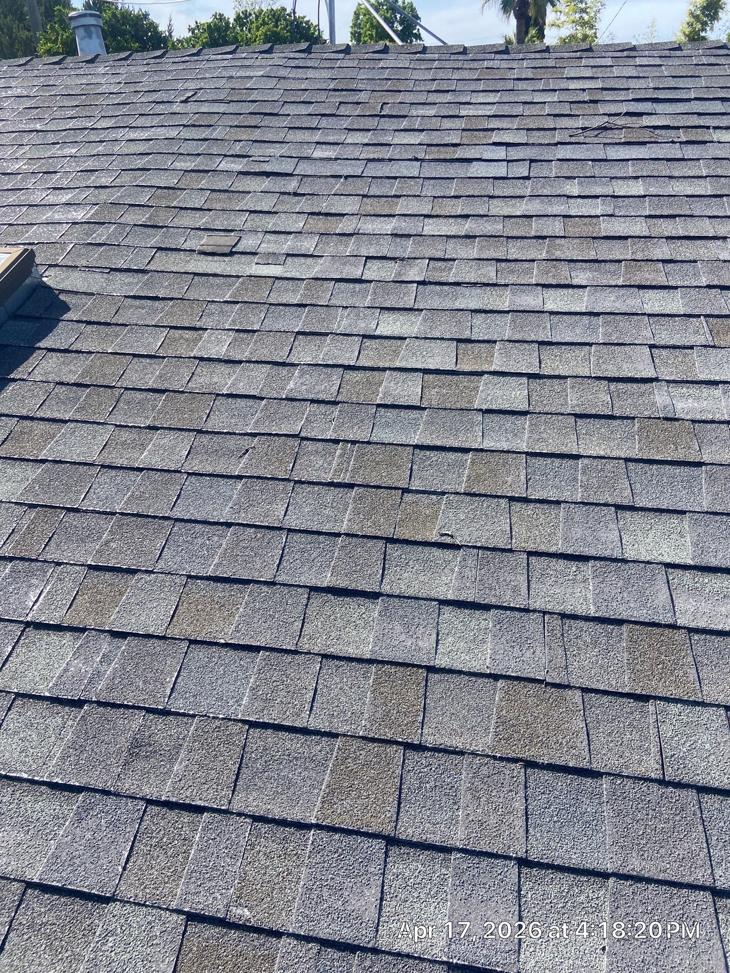Roof Rejuvenation using Roof Maxx Treatment by Roof Maxx of Folsom