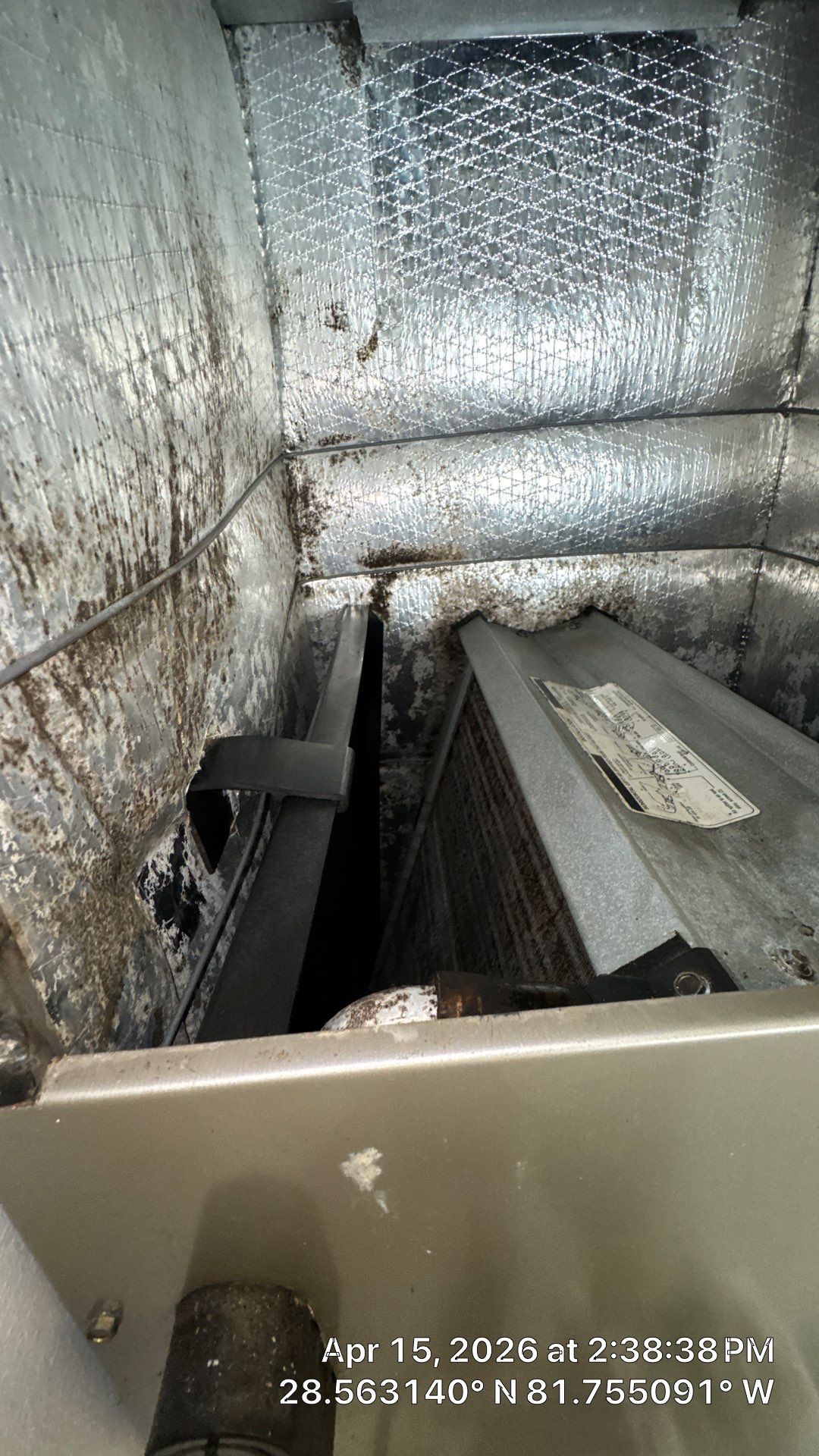 Air Duct Cleaning in Clermont by Hygienic Air, Inc