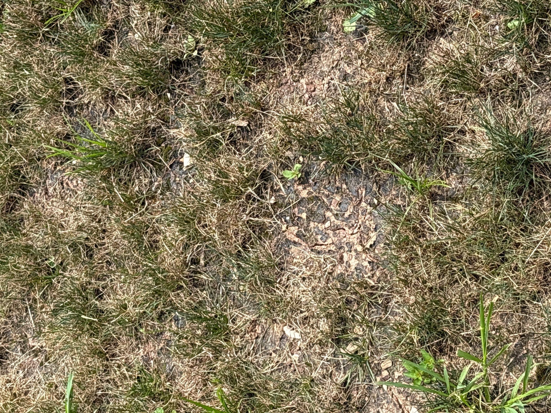 Dover Pa by Go Green CLC