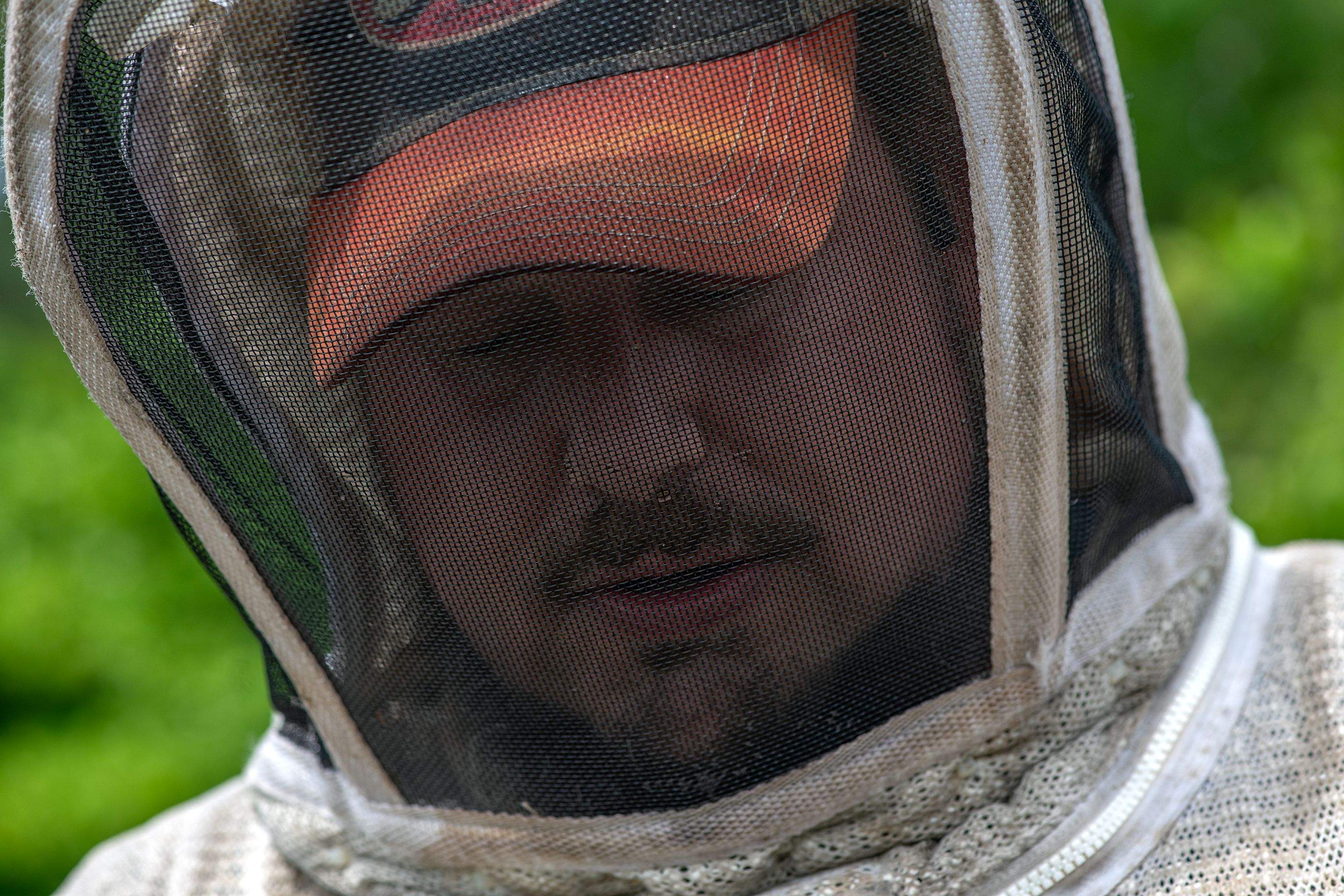 Splits in East Texas by Rockwall Honey Bee Company