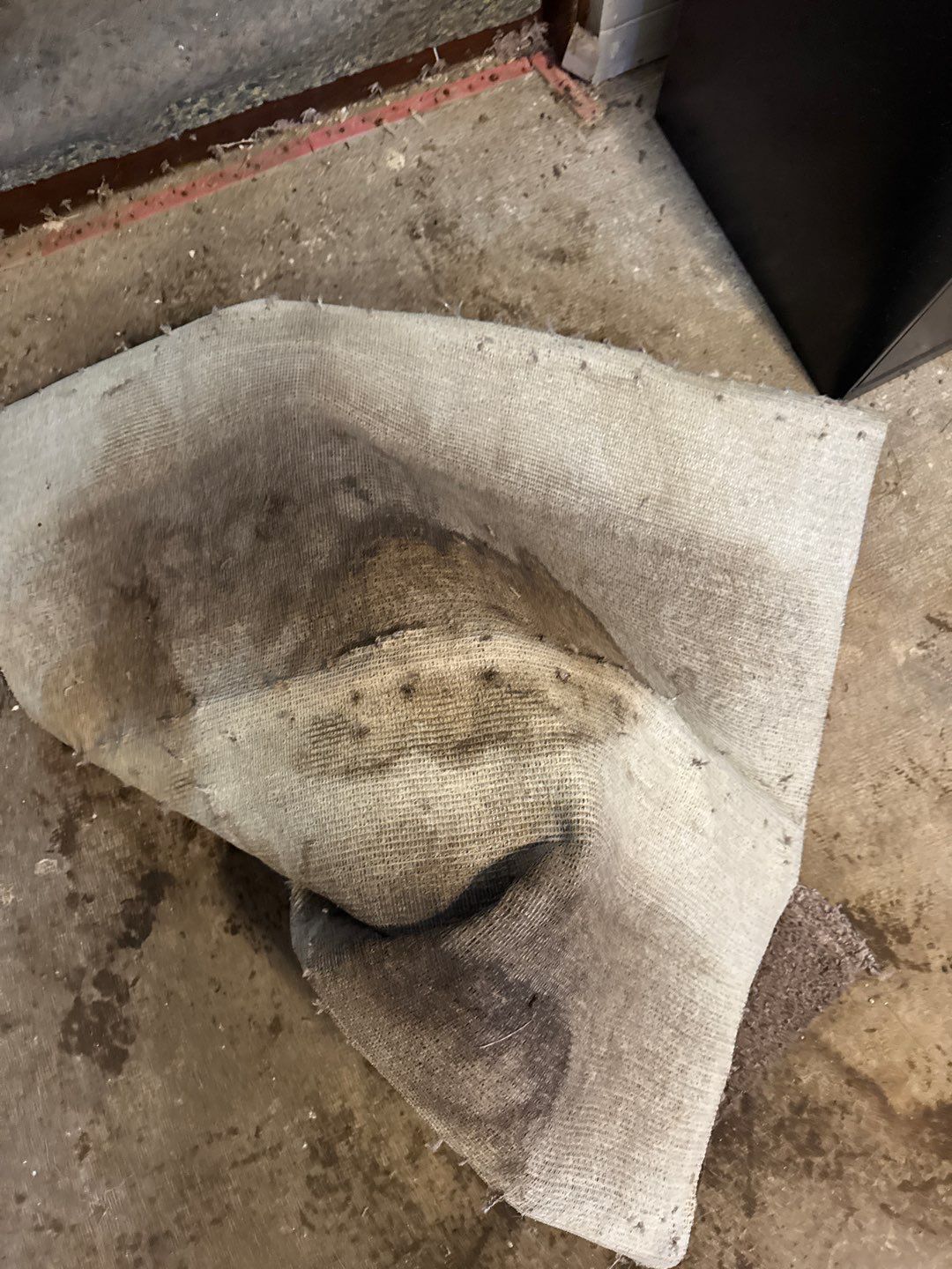 Mold Remediation Project by Chicagoland Water Medics