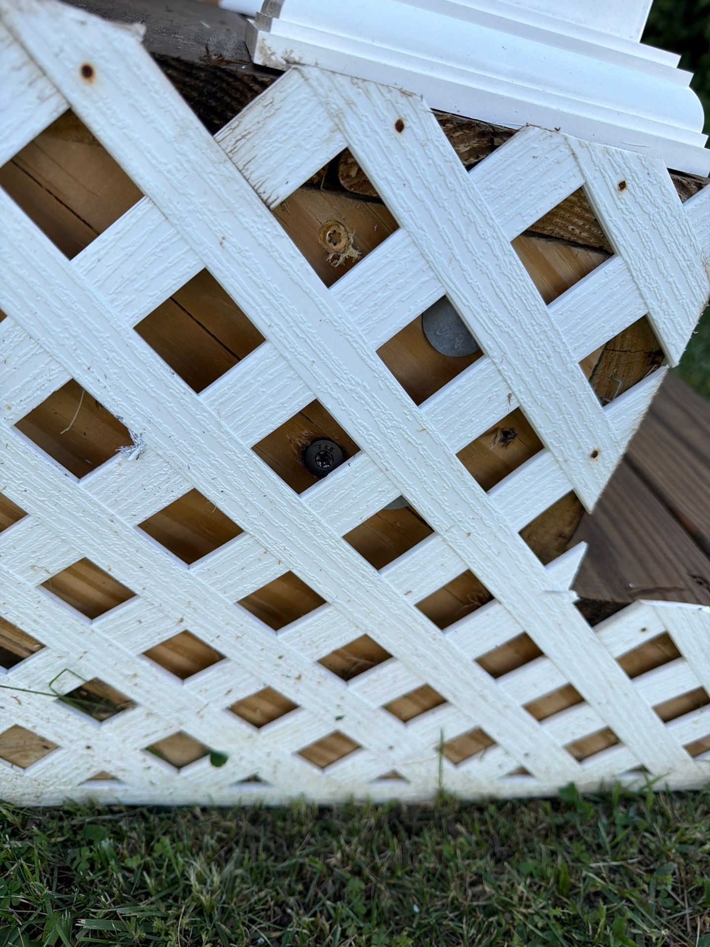 Screen Door Installation & Deck Repairs by Laser Focused Solutions LLC