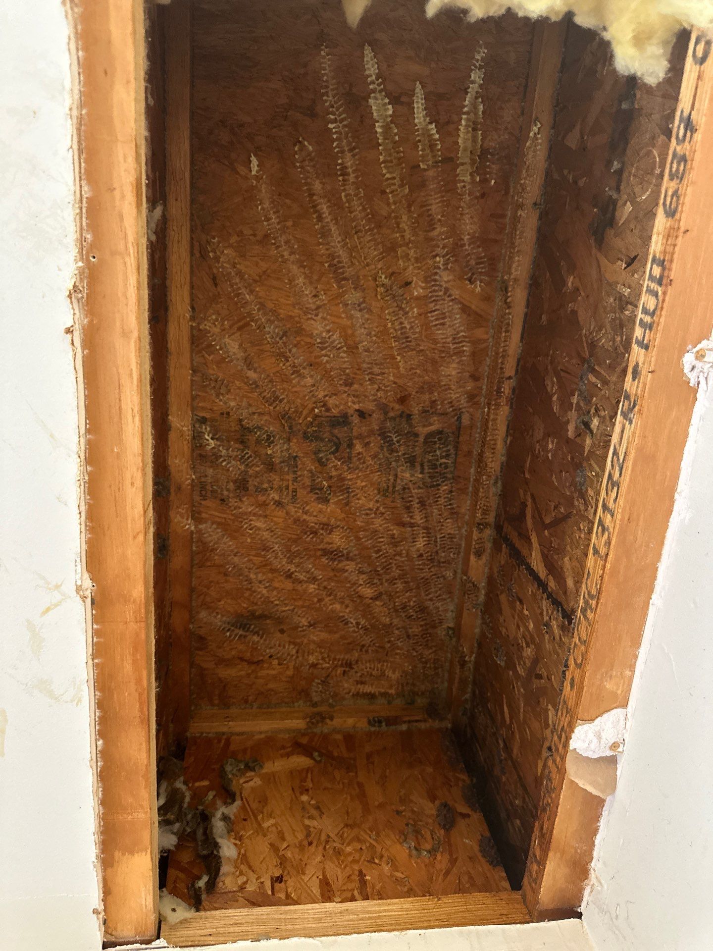 First Spring 2026 by Rockwall Honey Bee Company