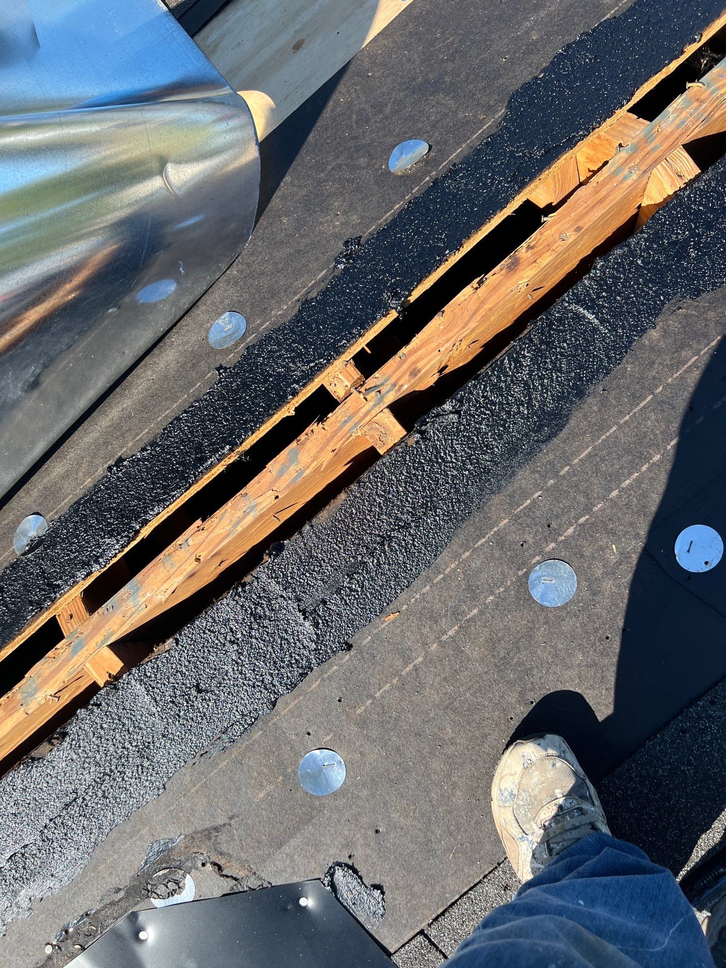 Let My Attic Breathe!!!!! by Bayfront Roofing and Construction