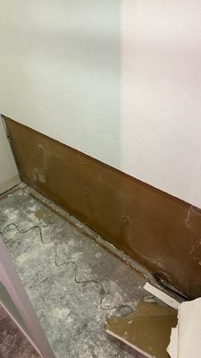Wet Carpet Drying — Fort Myers, FL