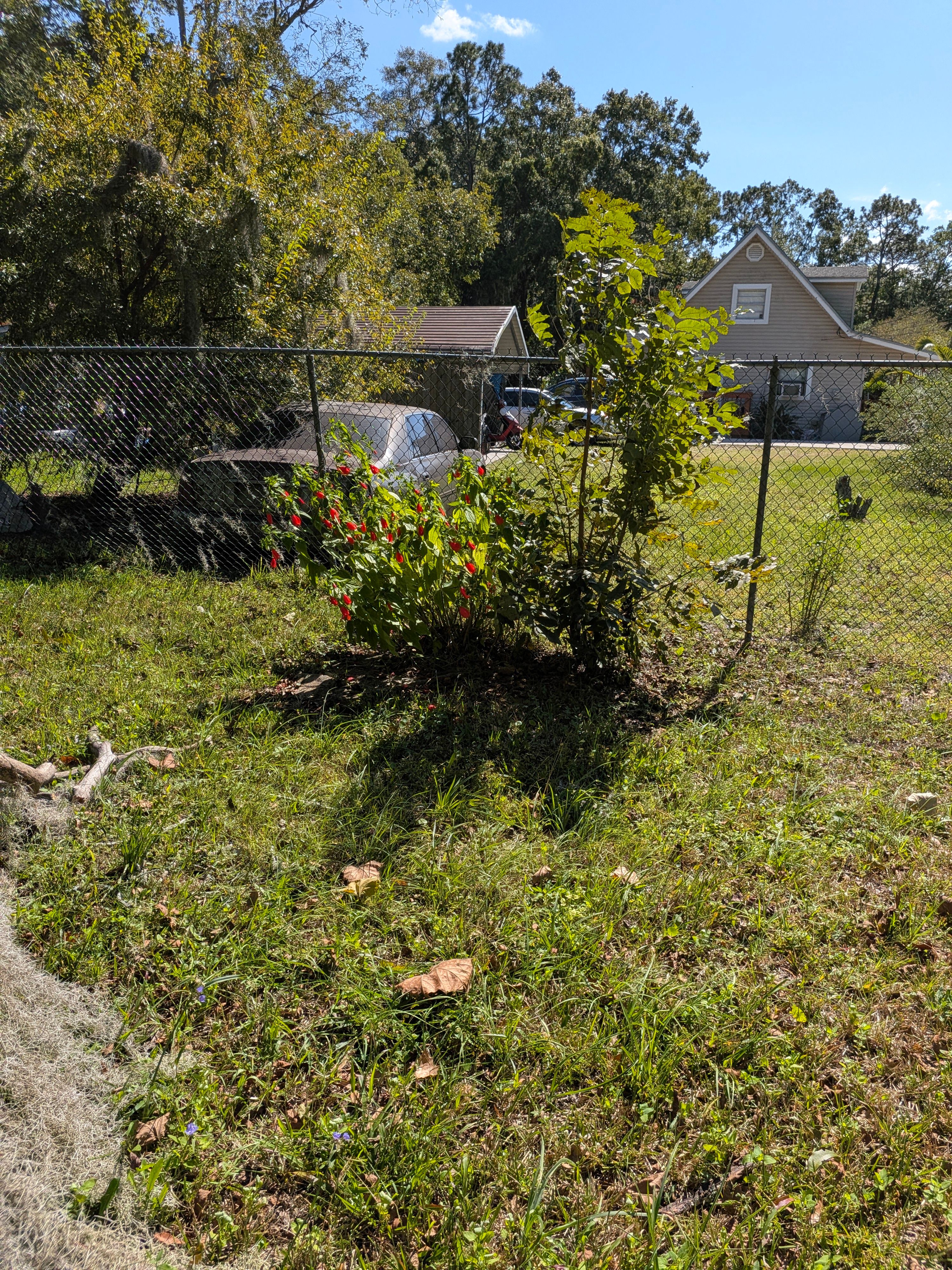 Vacant Lot Cleanup & Ongoing Maintenance — Northside Jacksonville (32219) by Harmoni Home Services