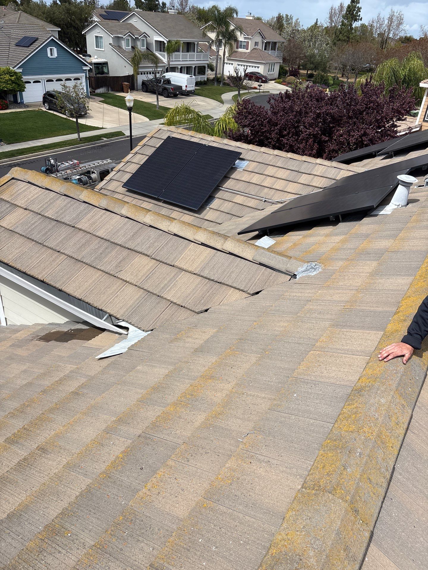 Moss Removal by Top Elevation