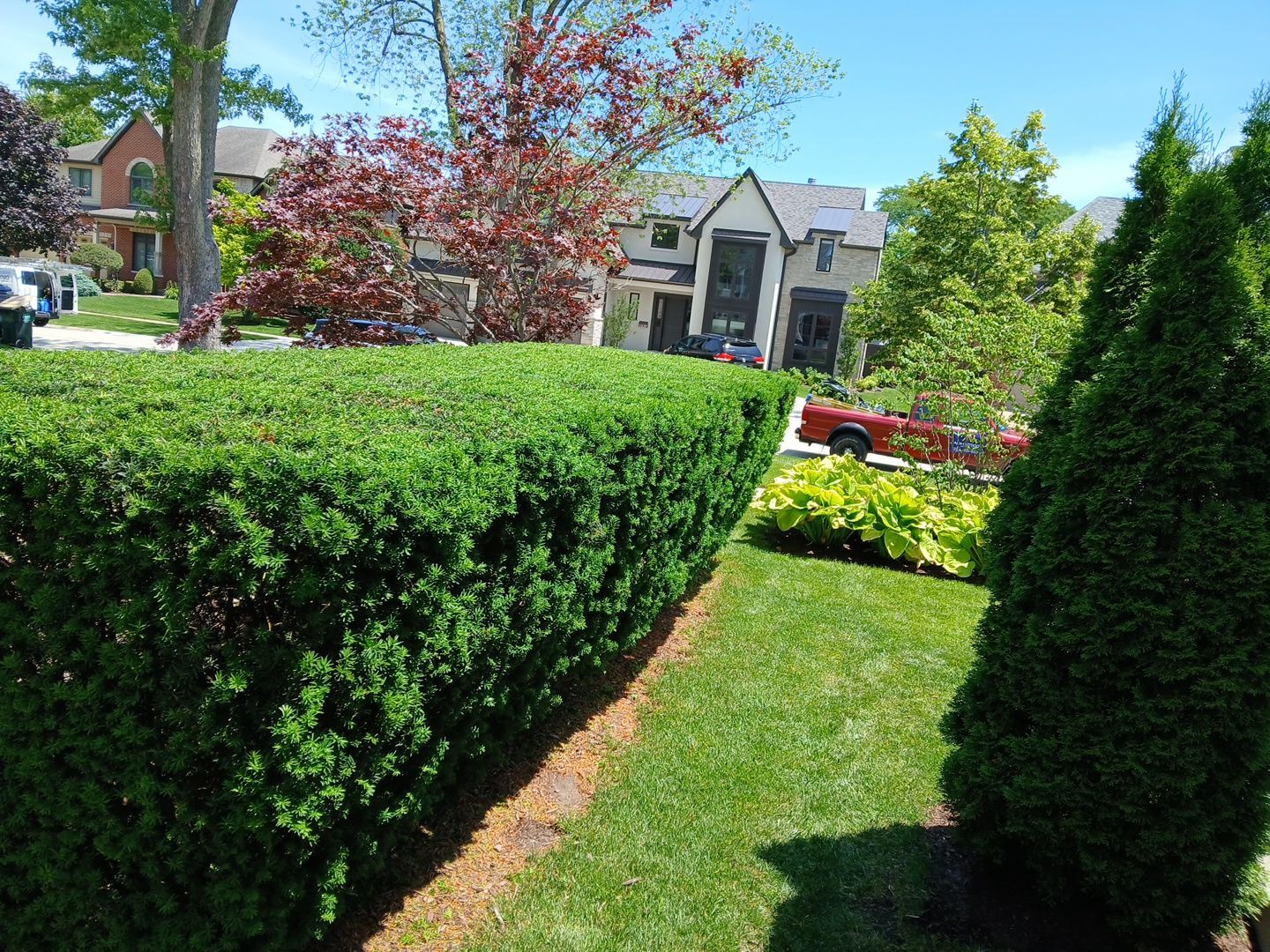 Lisa C. - Arlington Heights, IL by A&N