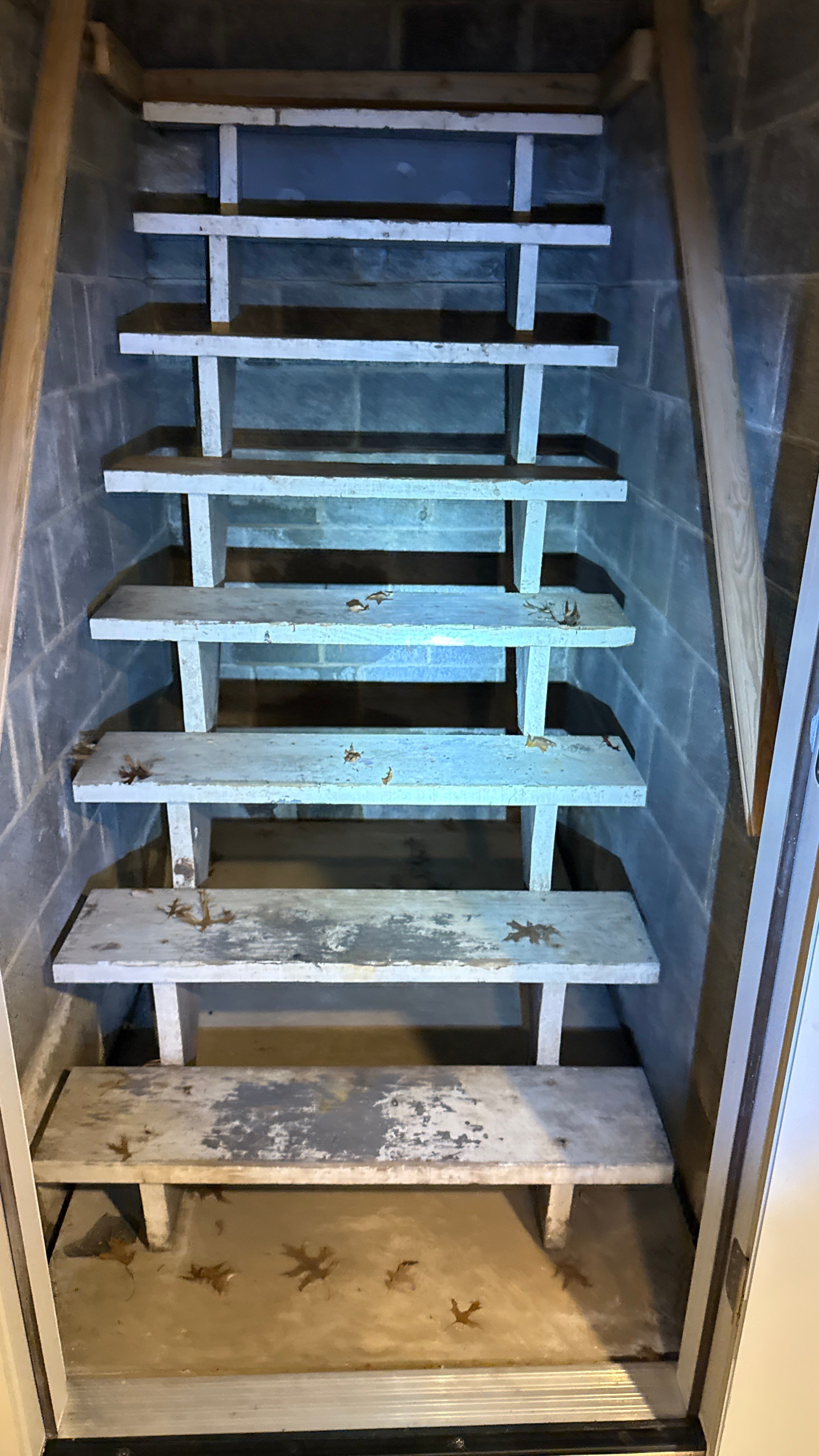 Interior French Drain in Princeton, NJ by Pure Service Pro, LLC 