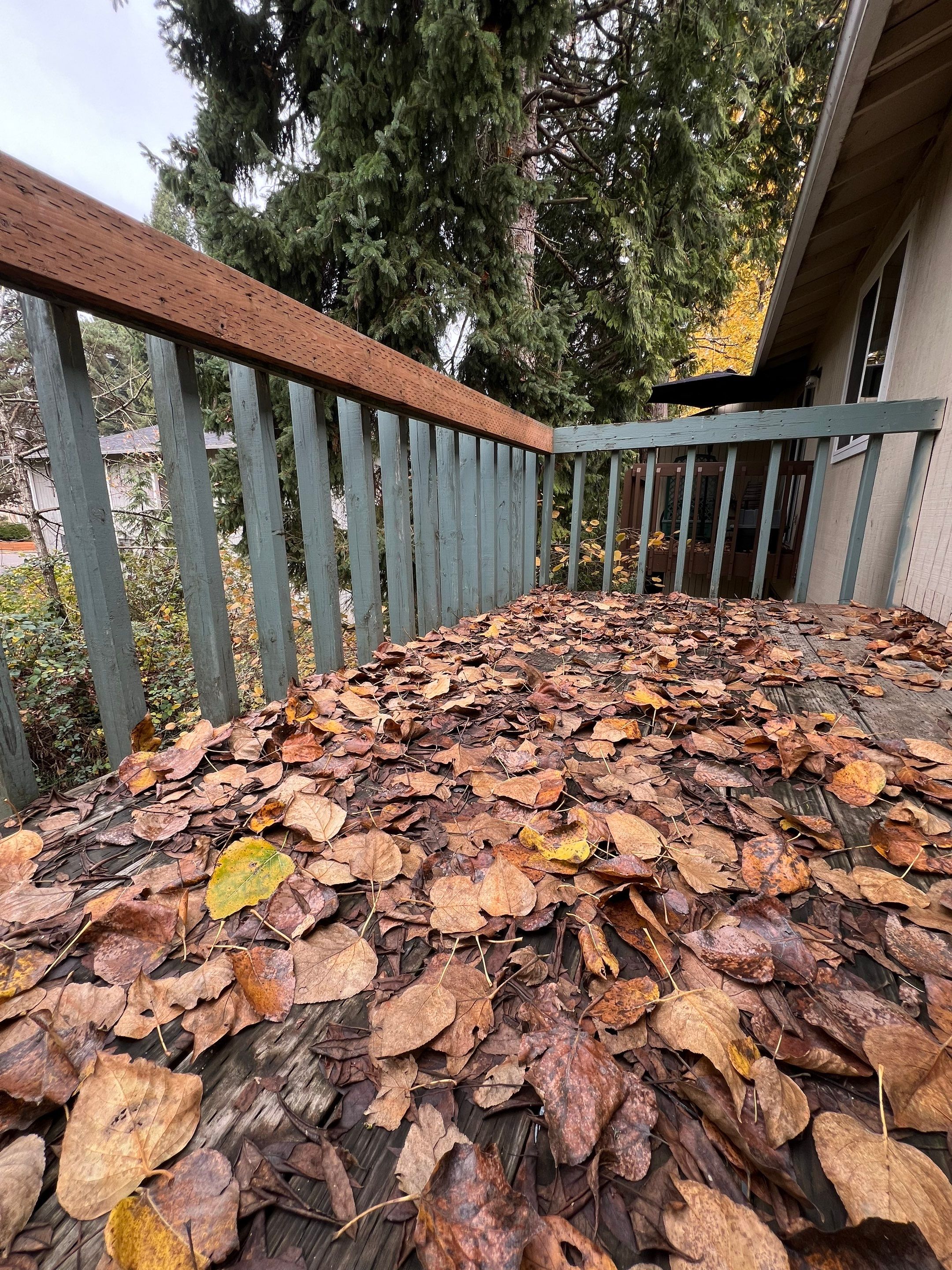 Deck Renovation by Handyman State LLC