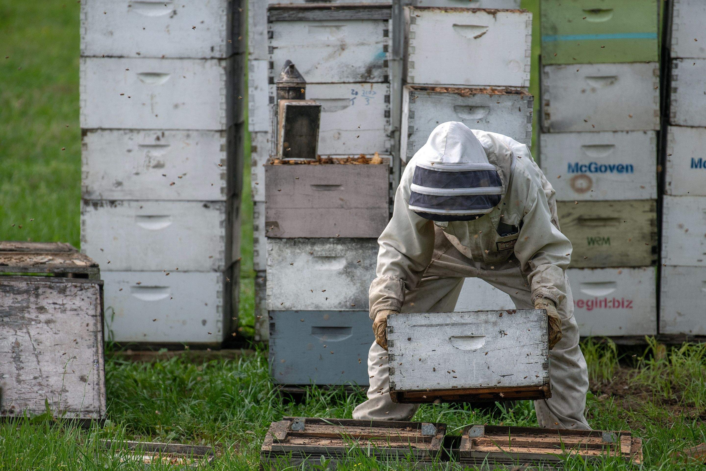 Splits in East Texas by Rockwall Honey Bee Company