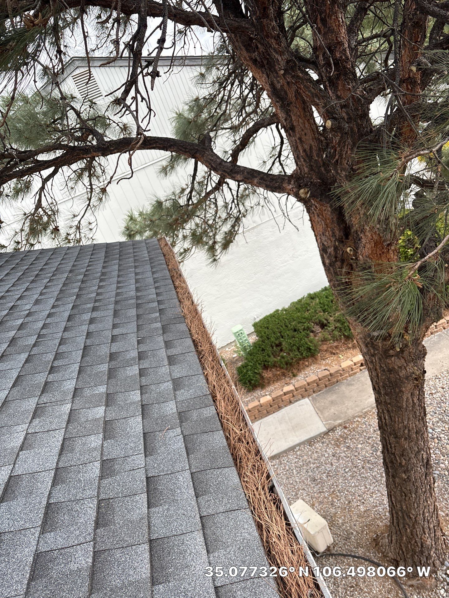 Commercial gutter cleaning Albuquerque before photo with filled gutters