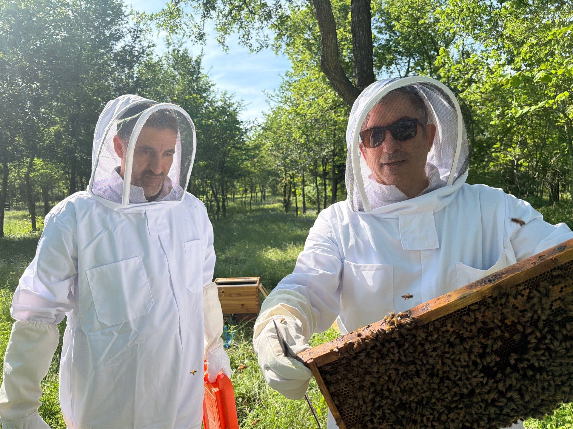 New Beekeeper in Maypearl by Rockwall Honey Bee Company