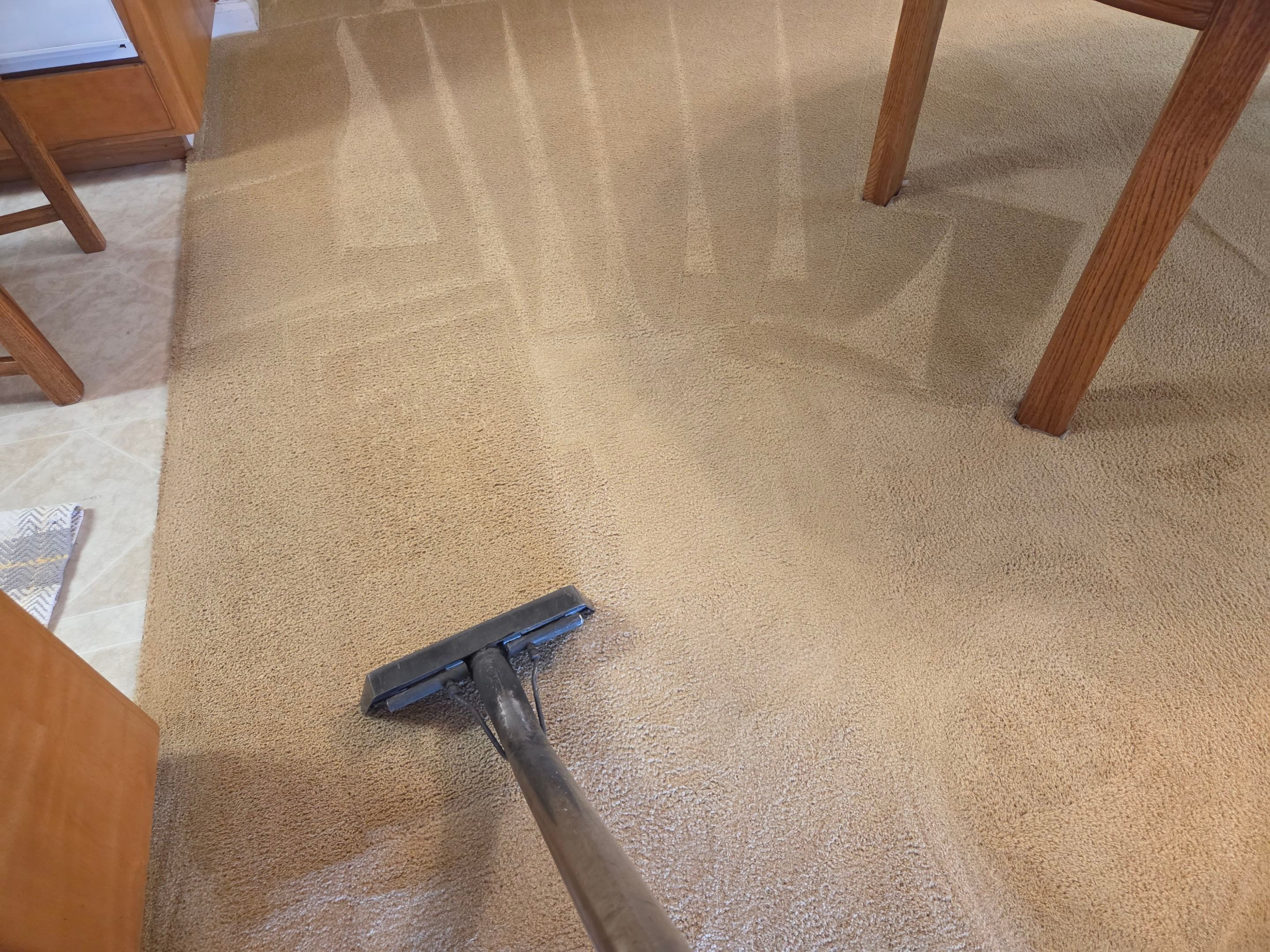 Carpet Cleaning and Stain Removal in Carmichael by Ardent Carpet Restore LLC