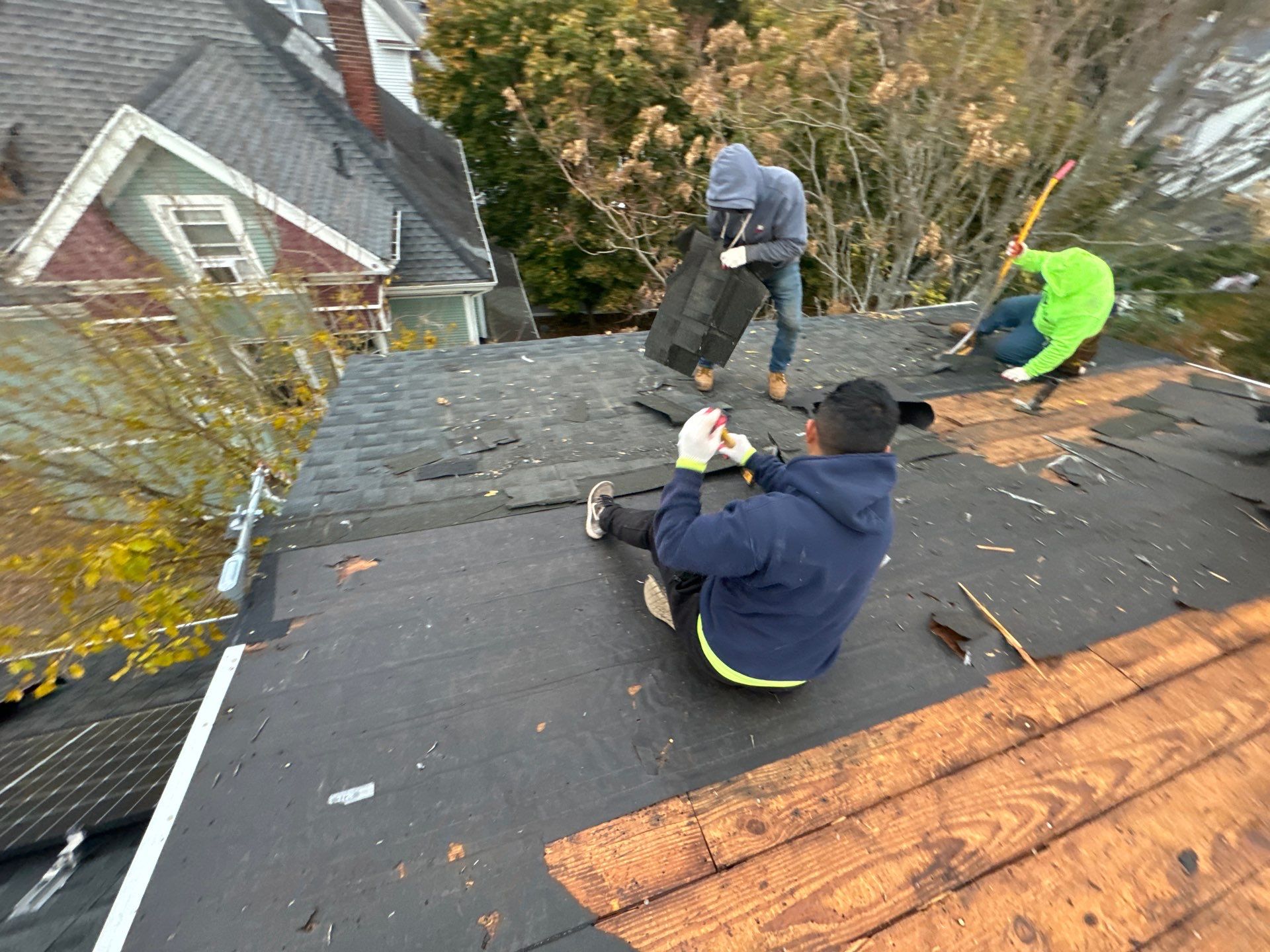 Silver Birch Shingles by Reimagine Roofing