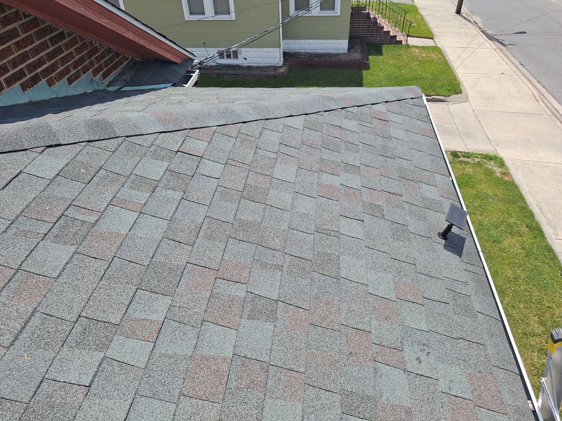 Tamko Shingles by Reimagine Roofing