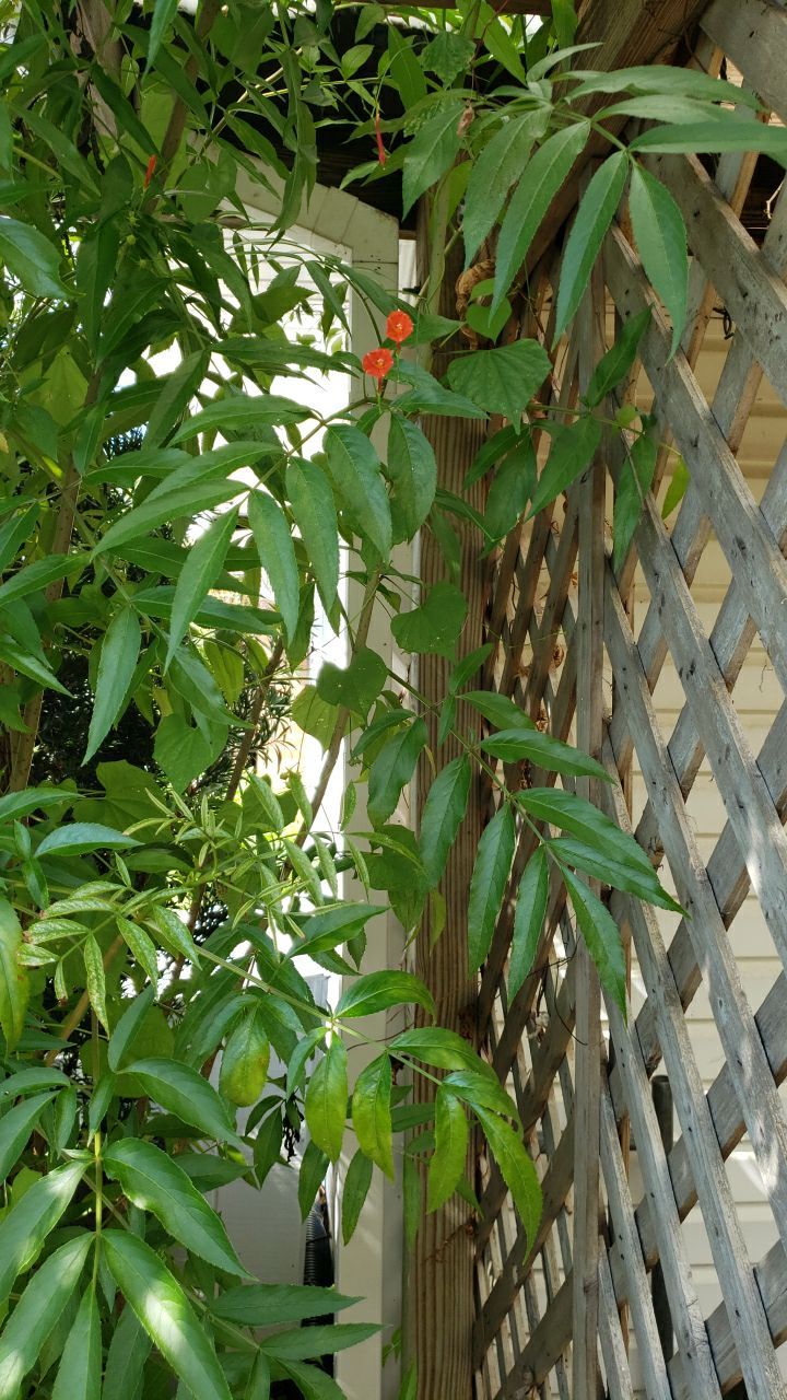Gutter Installation using K-Style Gutters by Gutter Professors