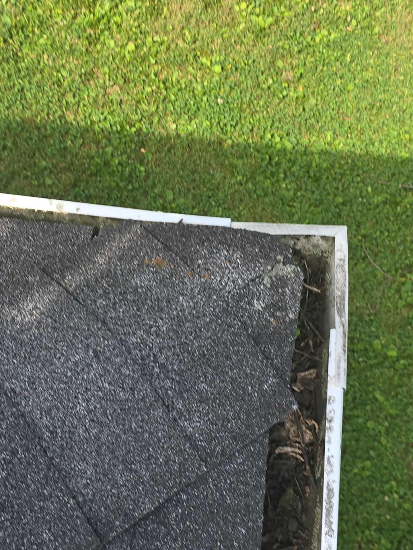 Commercial gutter cleaning Muncie, IN before photo with filled gutters