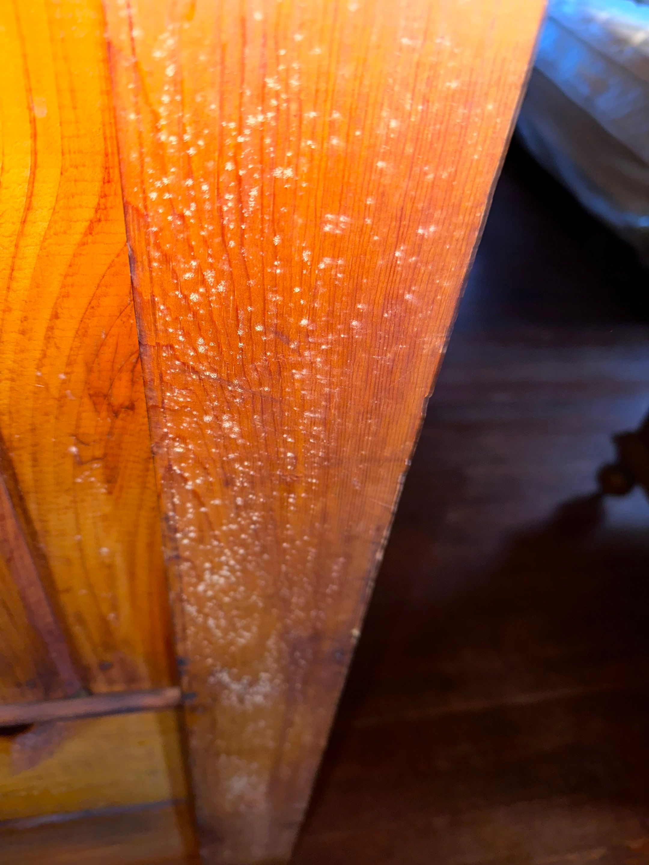 Entire Home Remediation by Home Guarantee, LLC