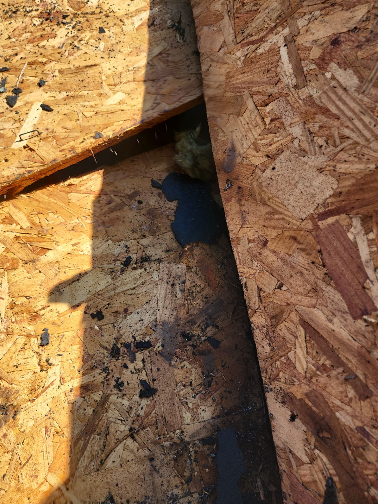 Residential Roofing Repair using Owen's Corning Duration (Lifetime) Shingles by Roof Repair Services LLC