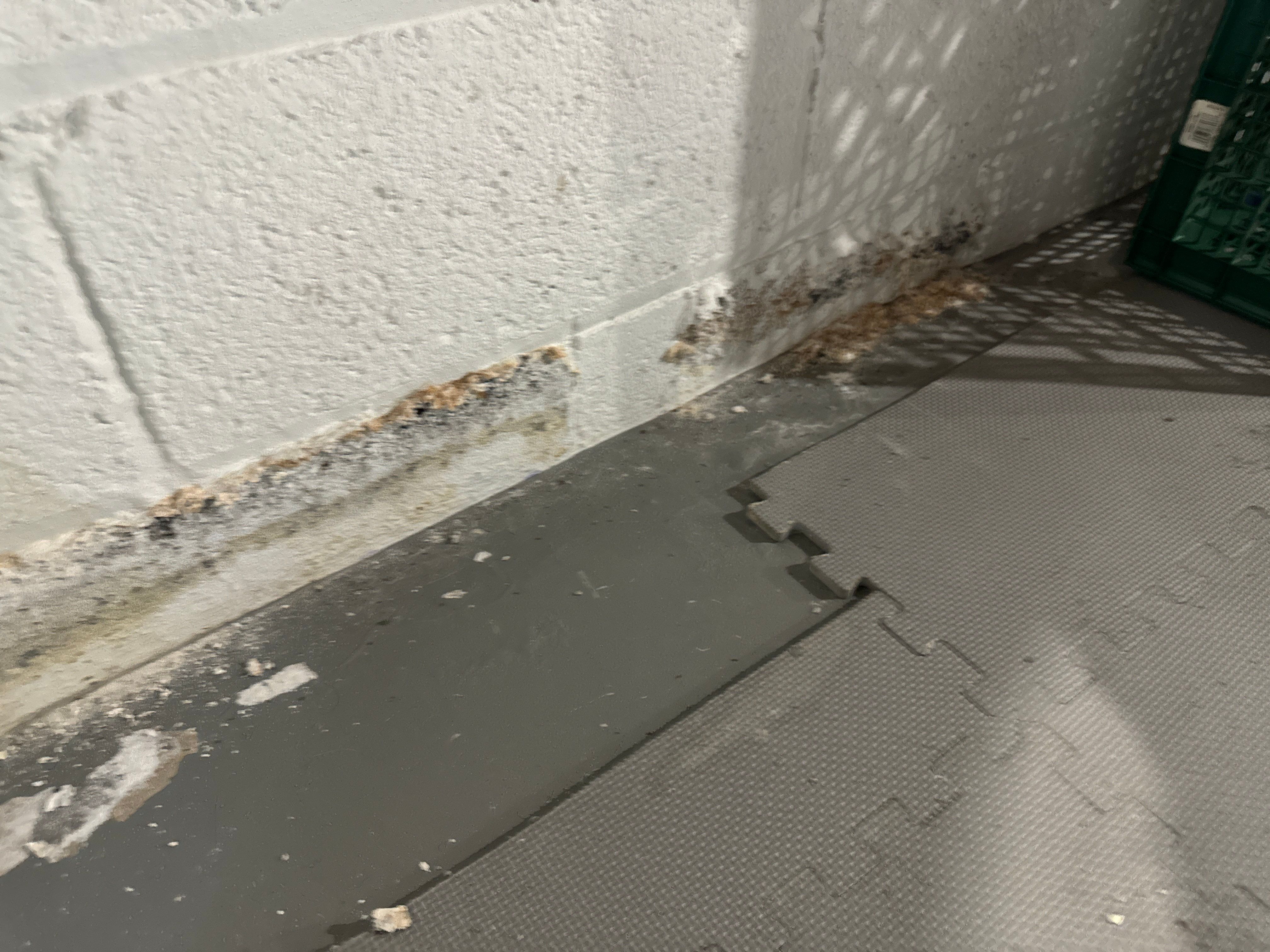 Interior French Drain Boonton NJ by Pure Service Pro, LLC 