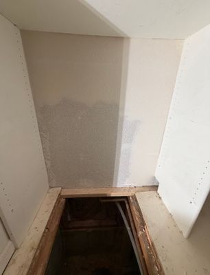Interior Dry Rot Repairs